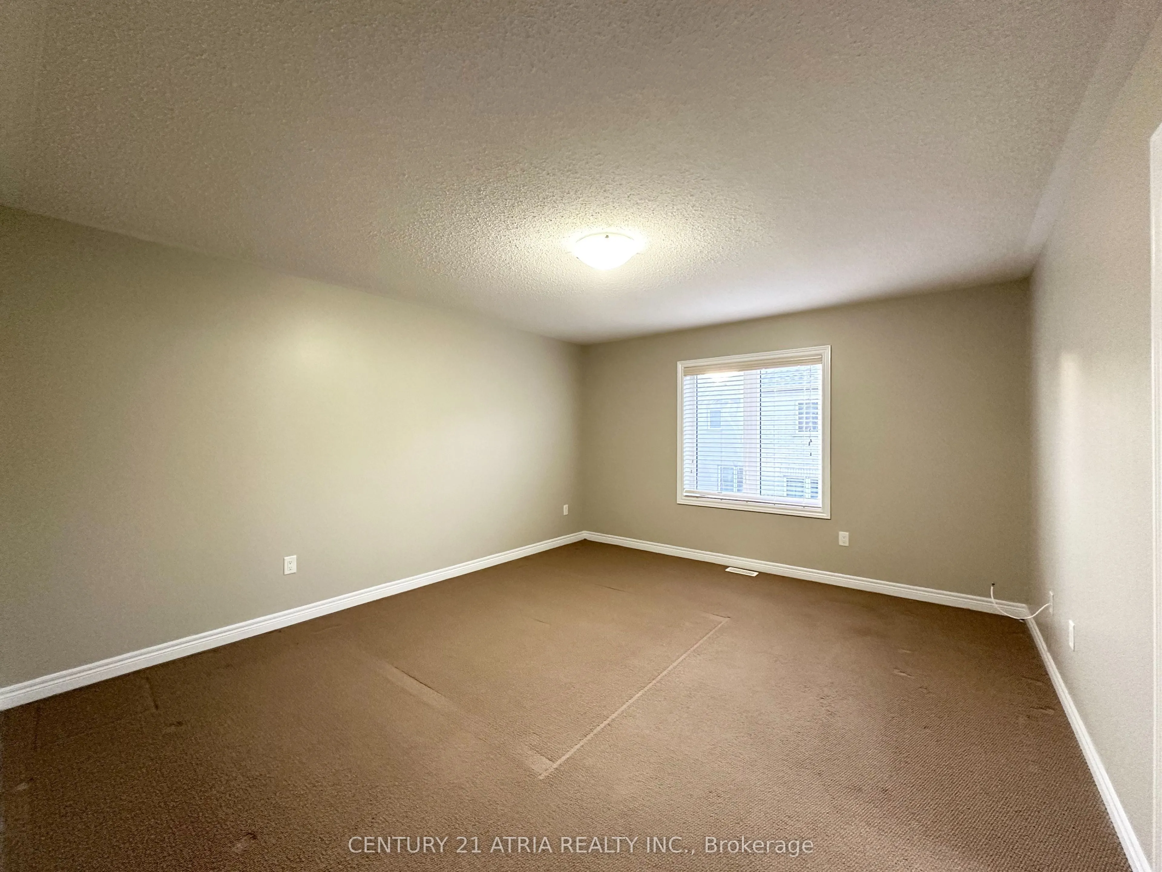 299 Sarah Cline Drive