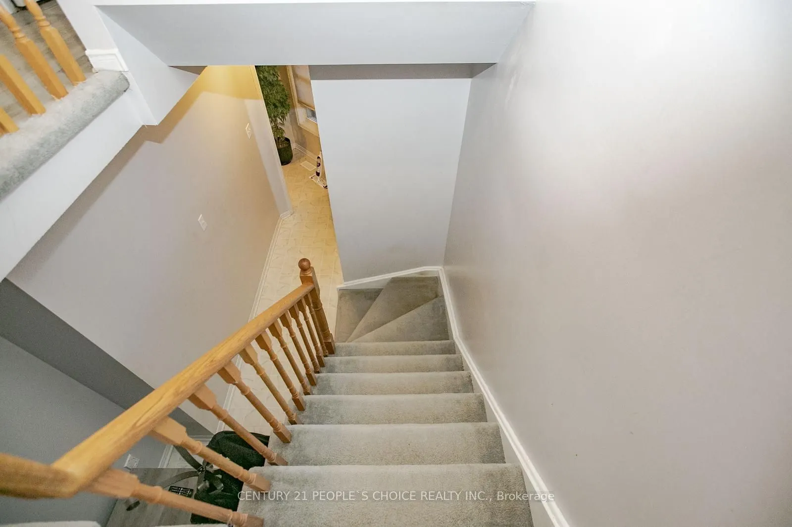 17 Caruso Drive
