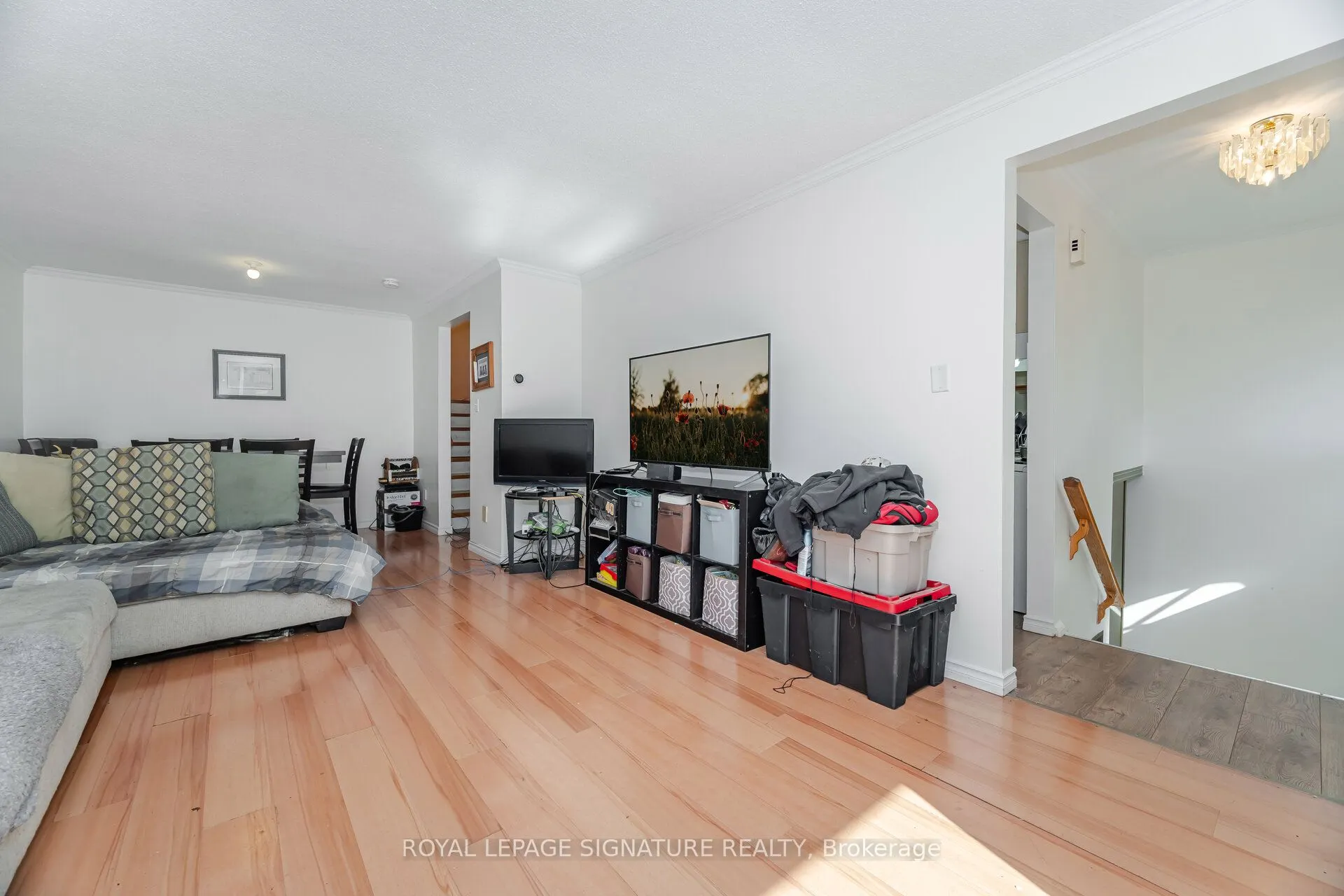 144 Abell Drive