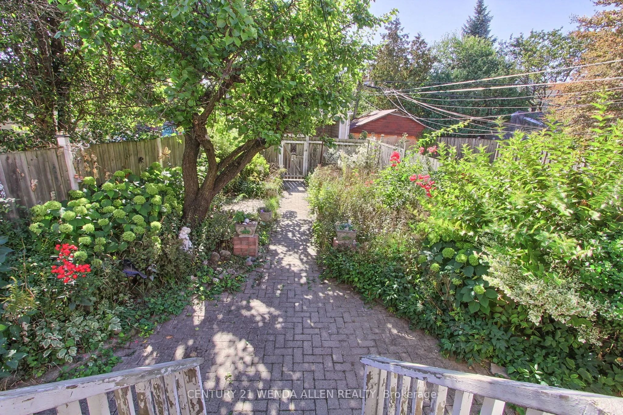 729 Dupont Street