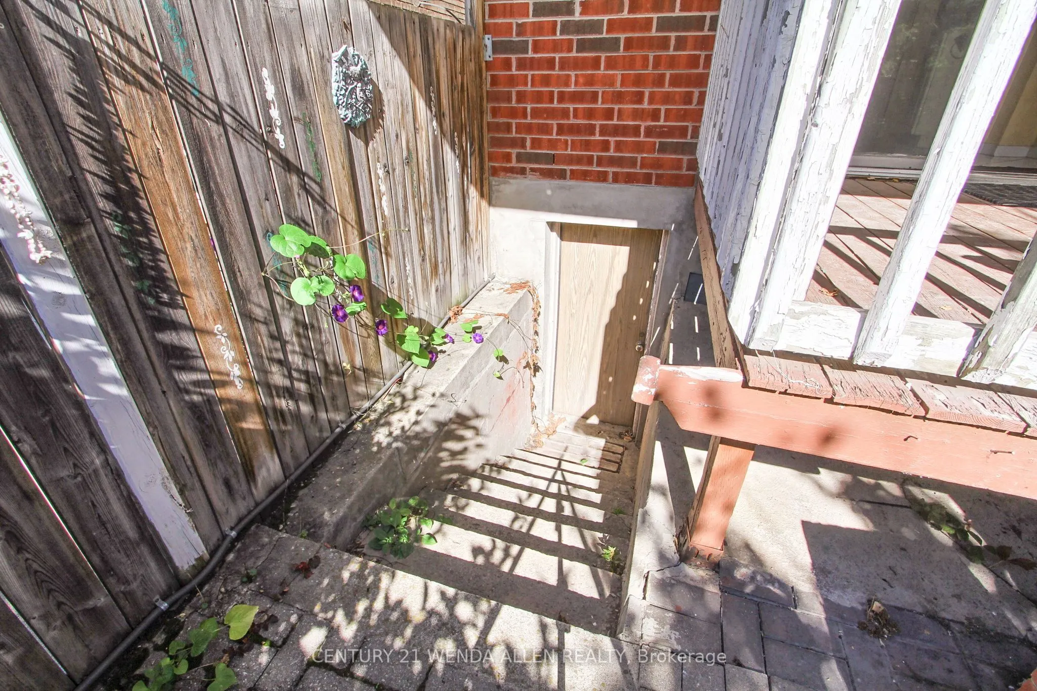 729 Dupont Street