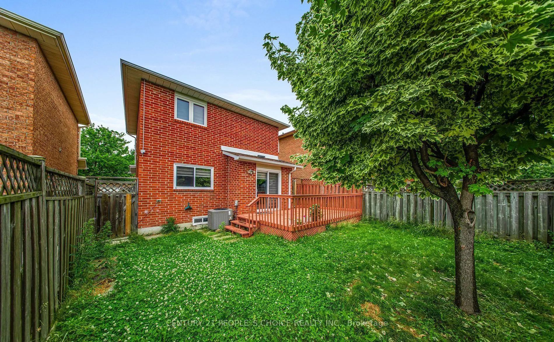 31 Dorking Drive