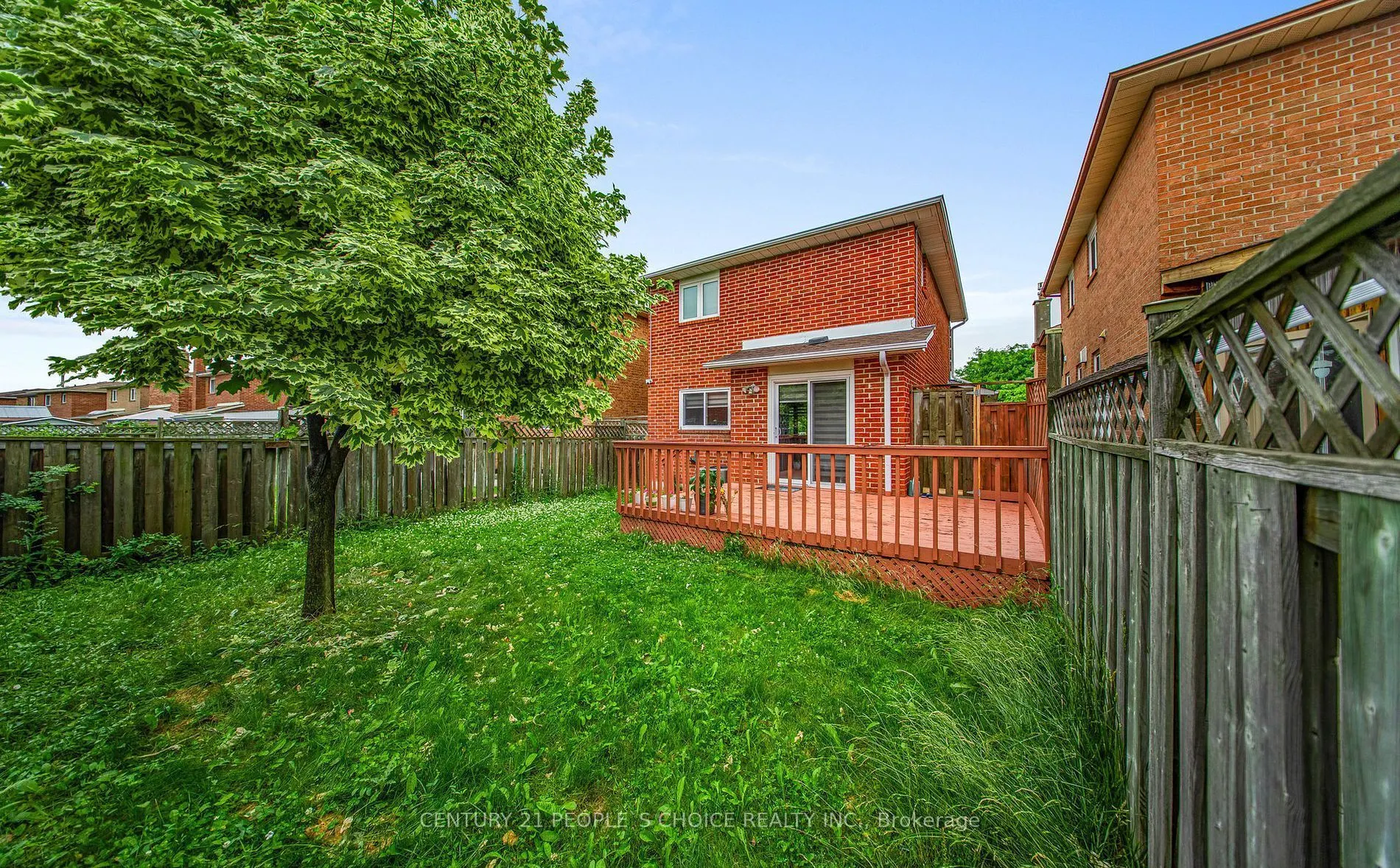 31 Dorking Drive