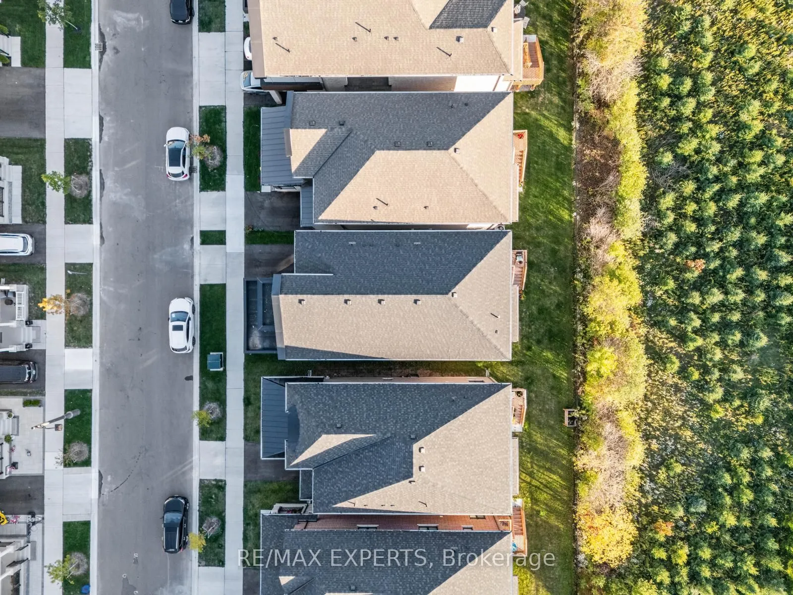 3299 harasym Trail