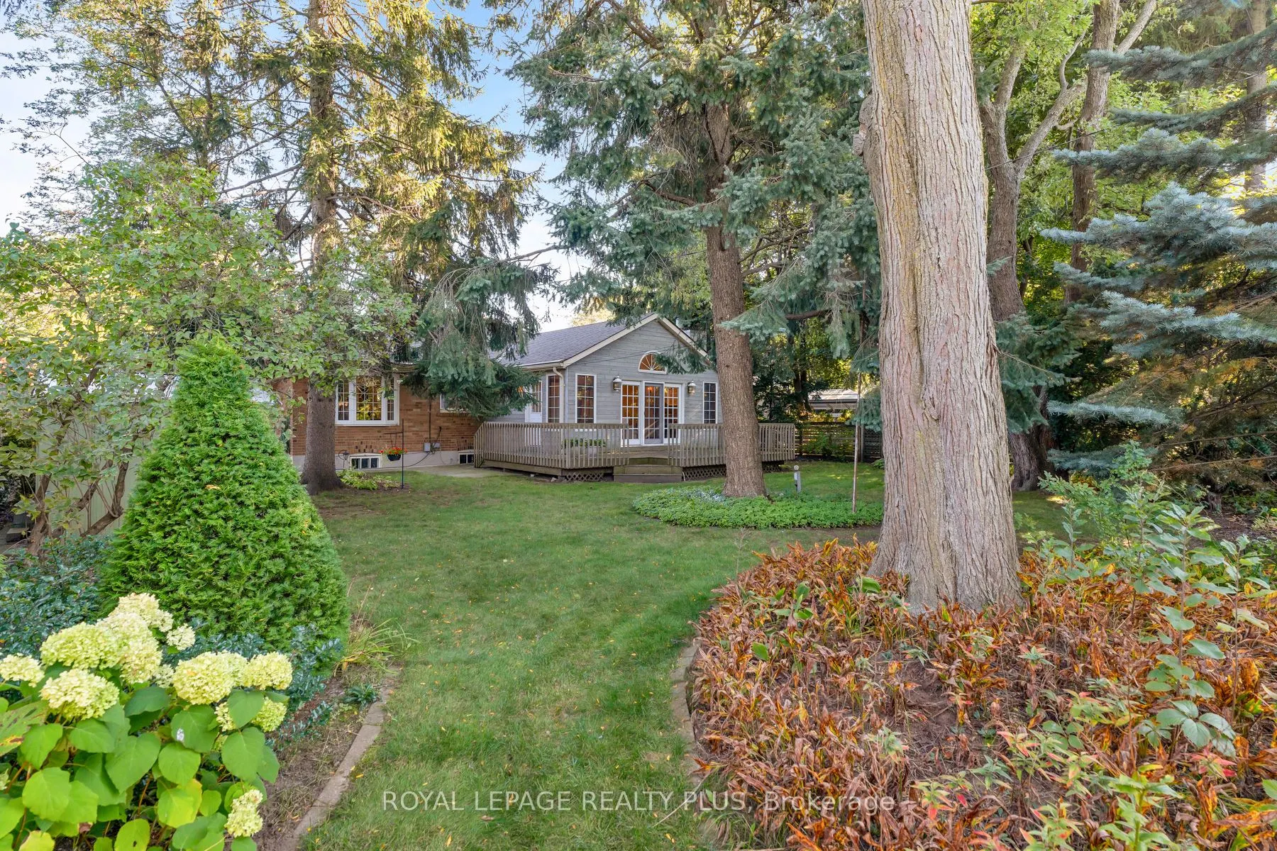 935 Hedge Drive