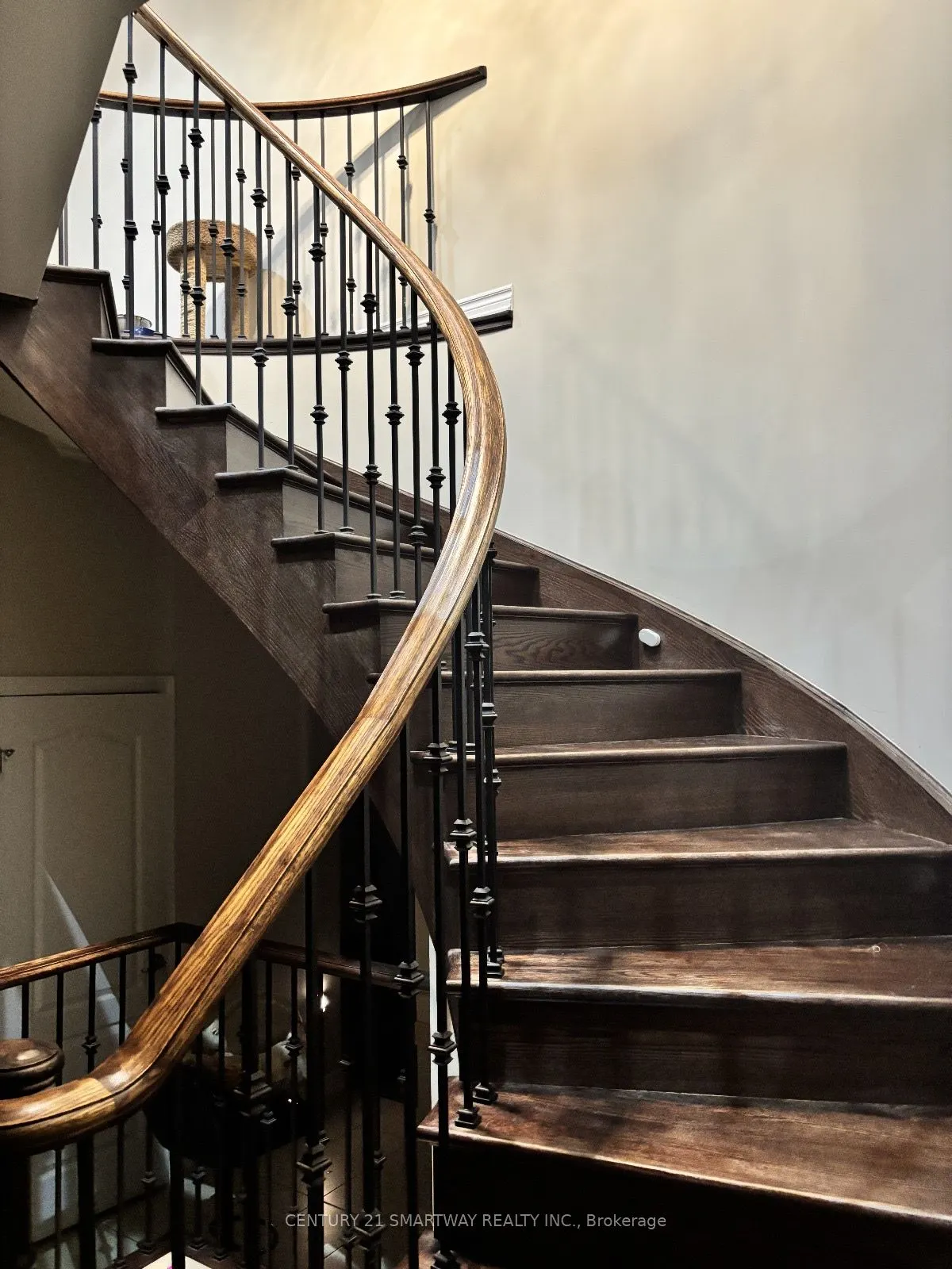 25 Bucksaw Street