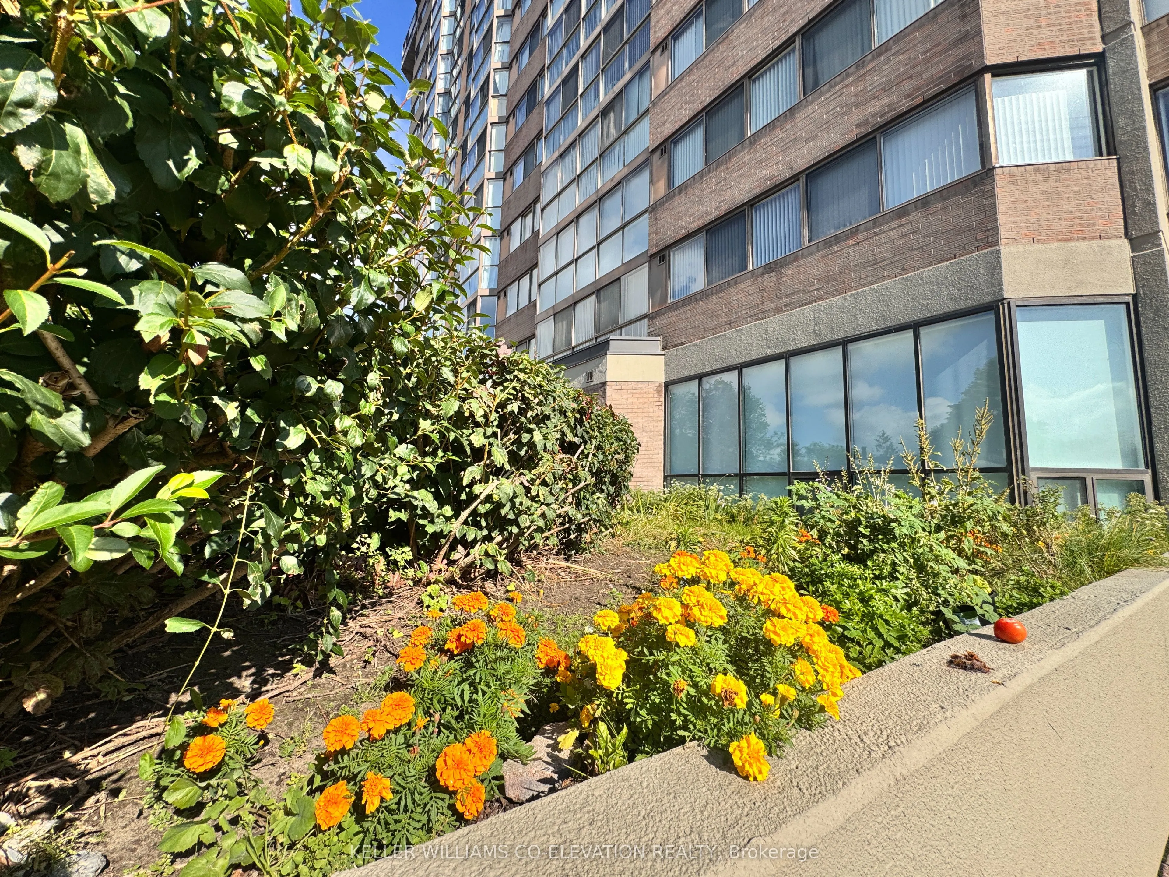 880 Dundas Street W, #1604