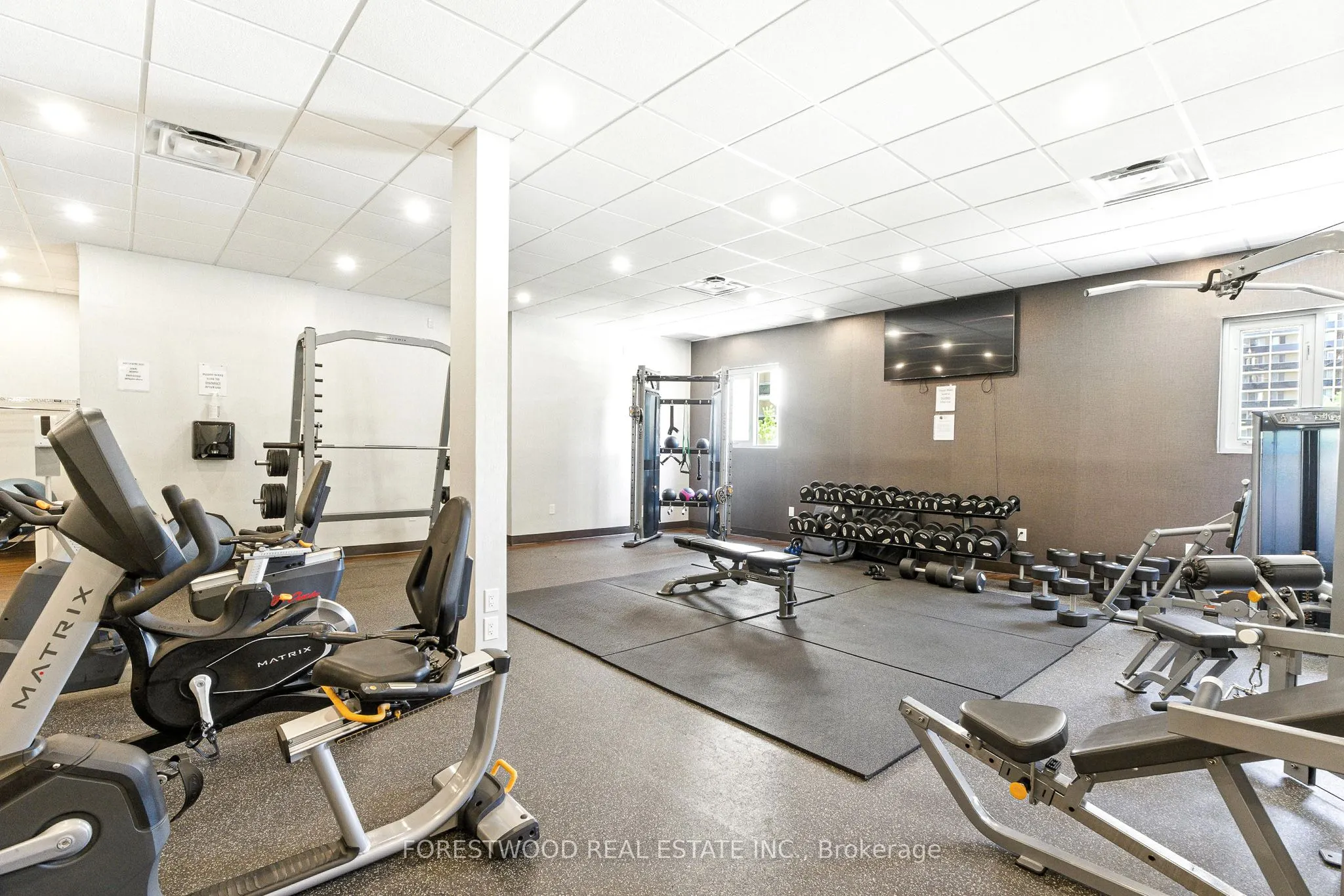 299 Mill Road, #205