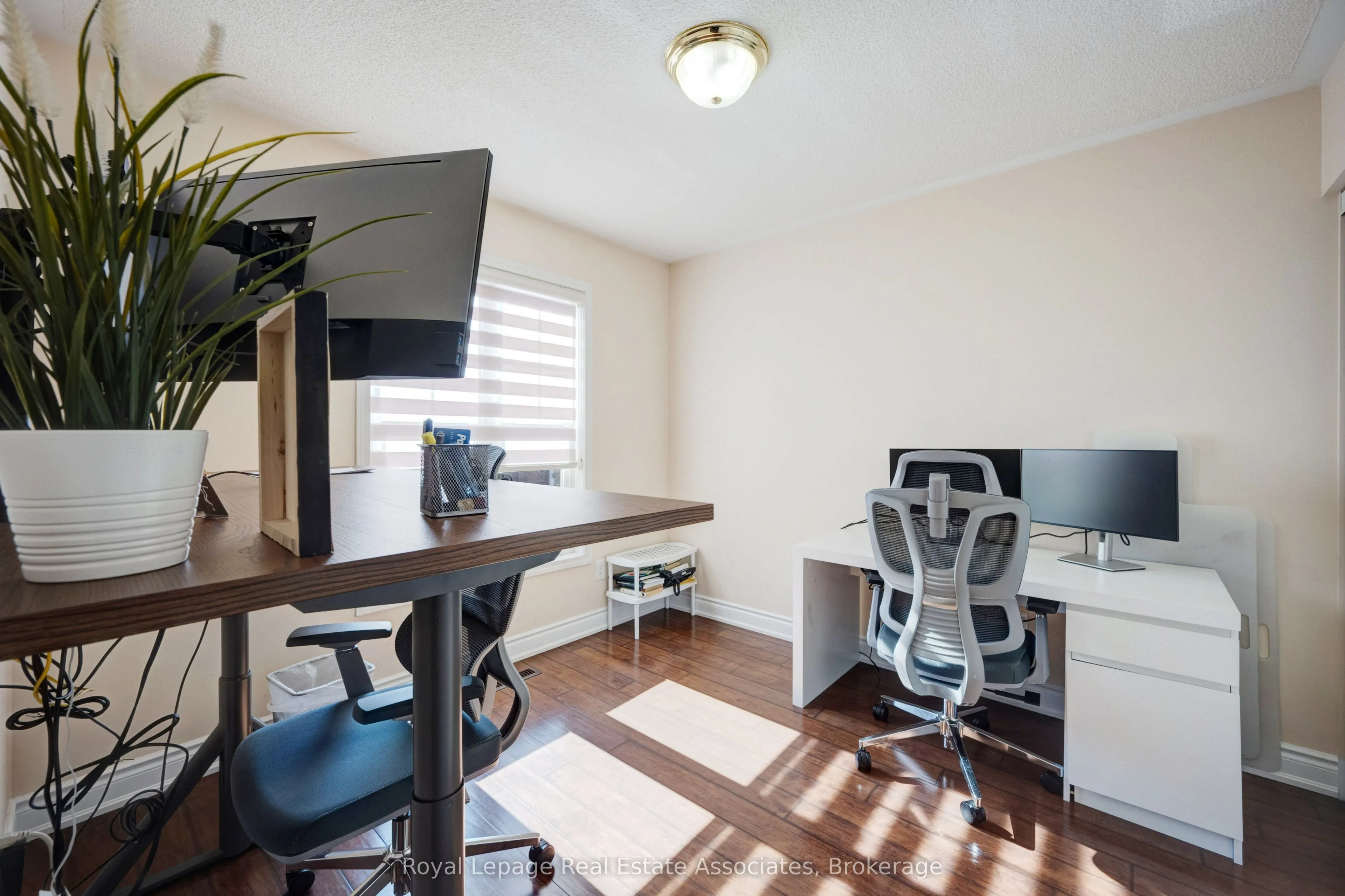15 Virtues Avenue, #Main