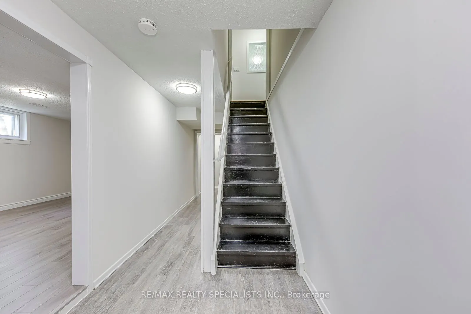 359 Louis Drive