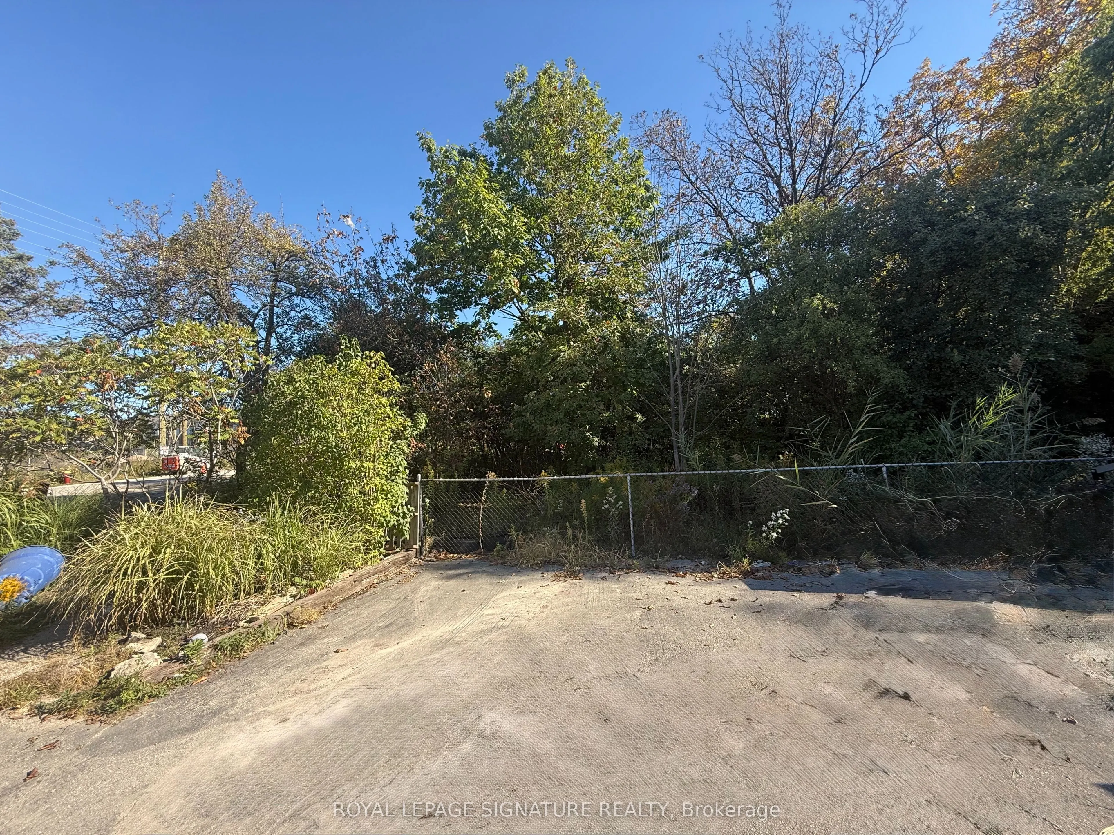 14 BURNHAMTHORPE Road W, #(MAIN)