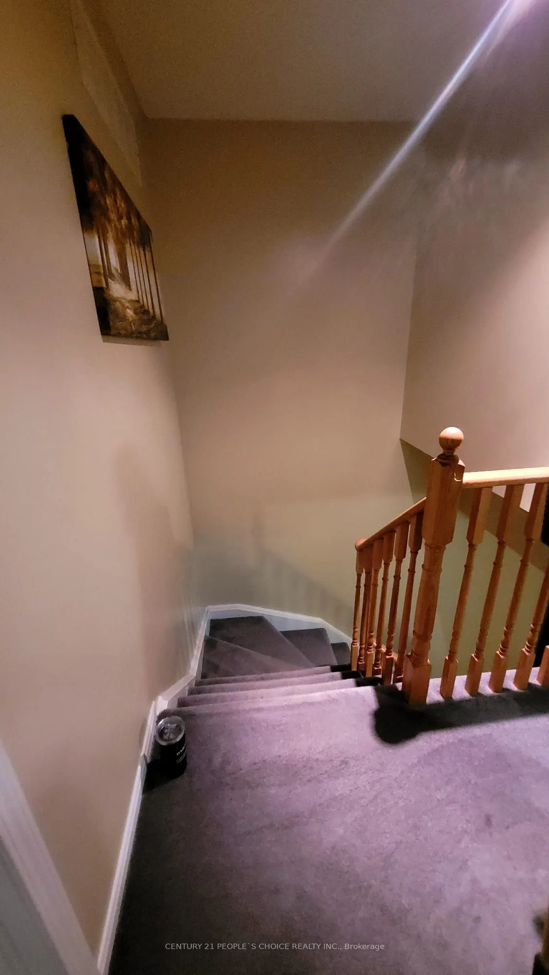 65 Olympia Crescent