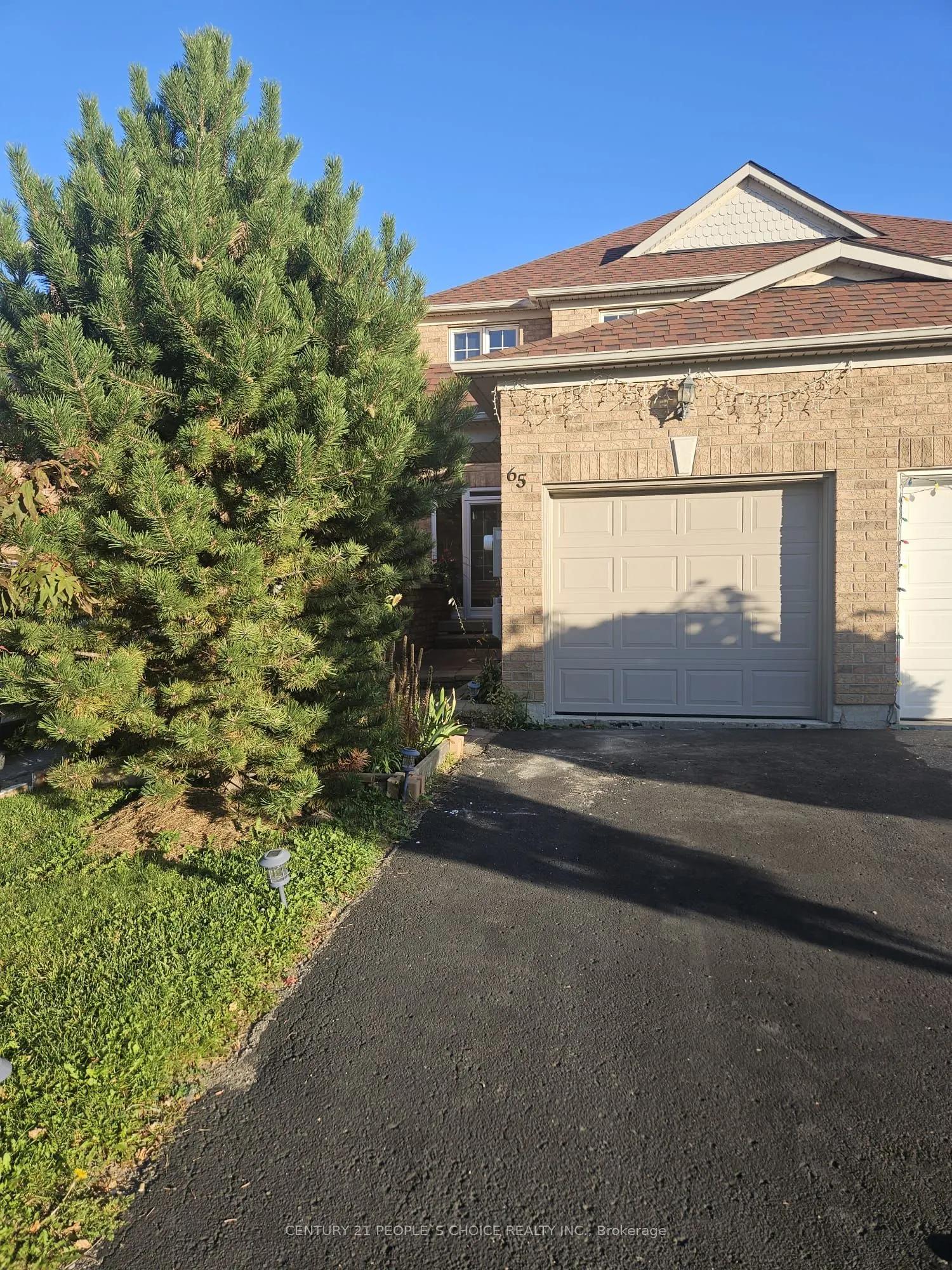 65 Olympia Crescent