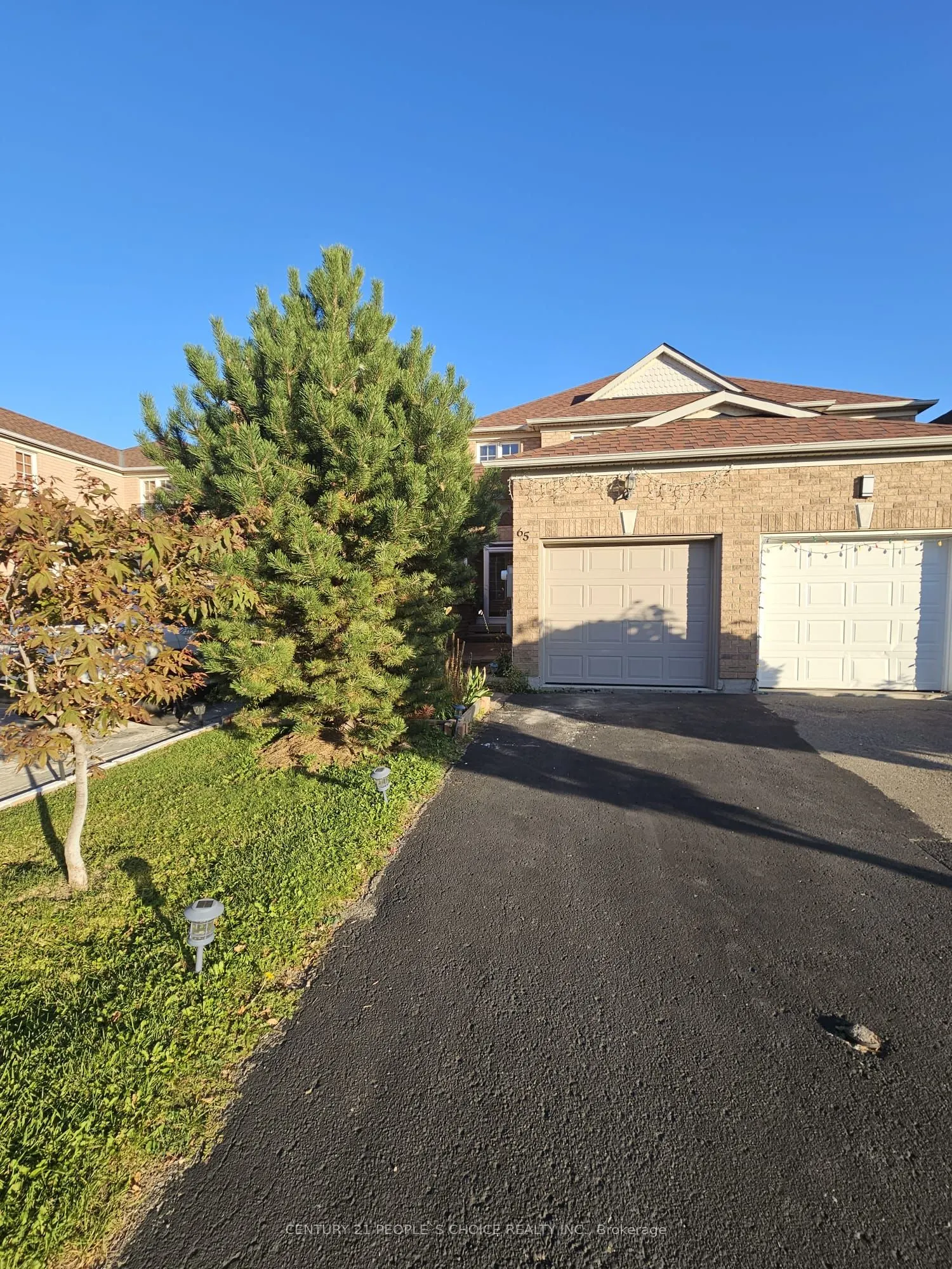 65 Olympia Crescent