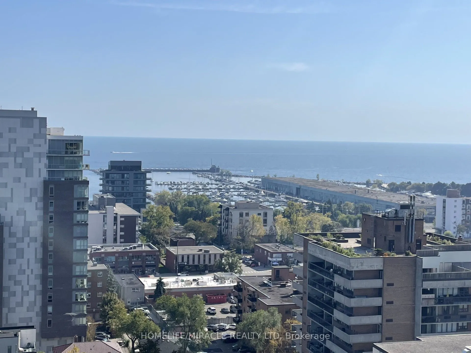 28 Ann Street, #1411