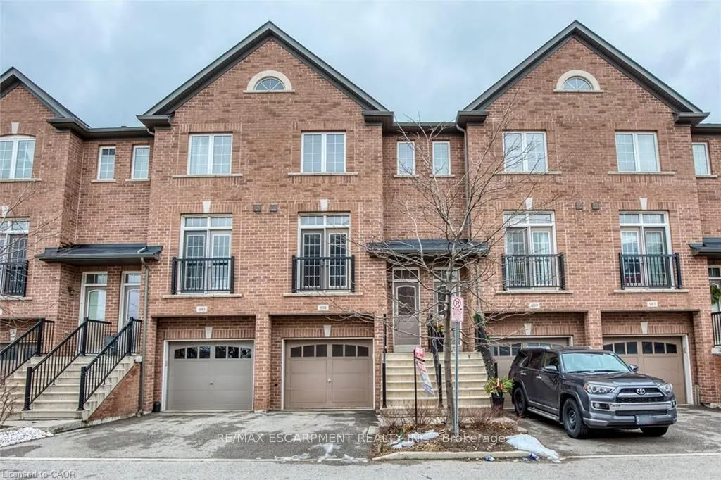 991 Reimer Common