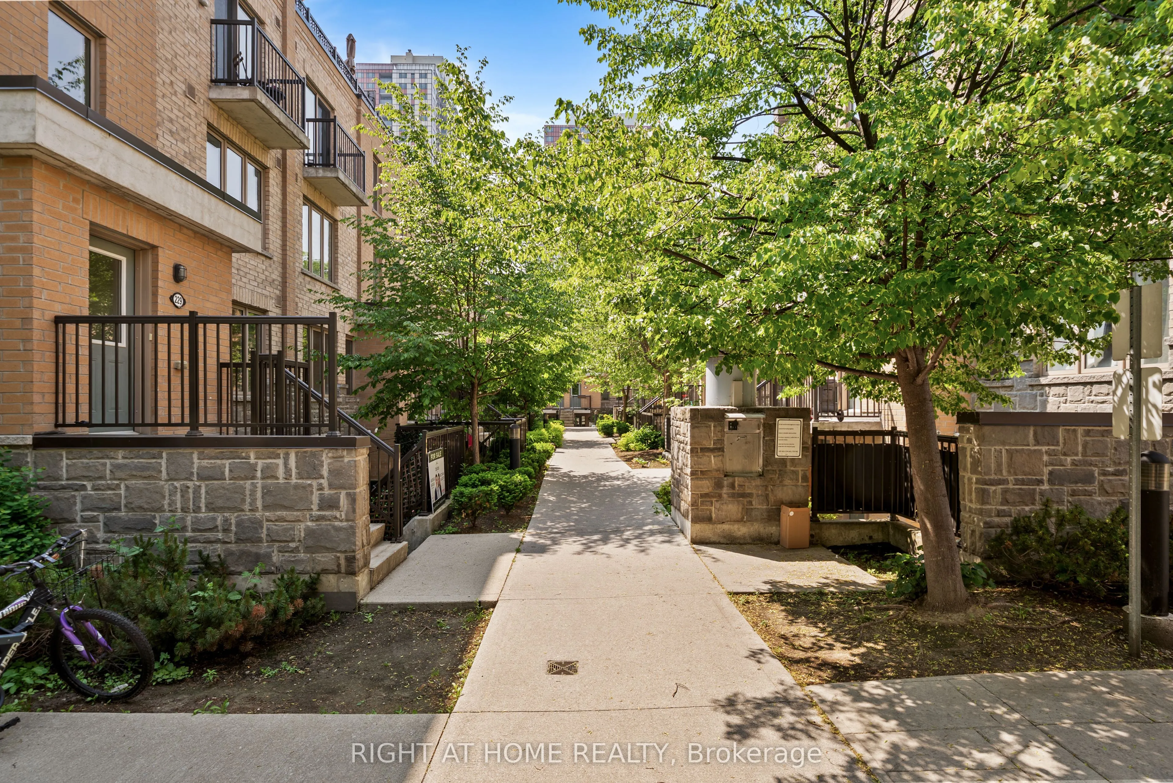 11 Foundry Avenue, #229