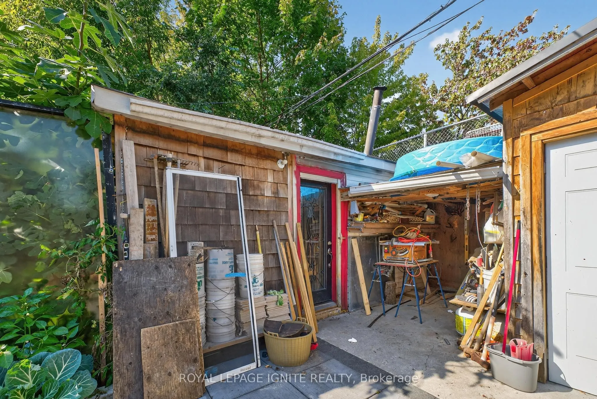 46 Lambton Avenue