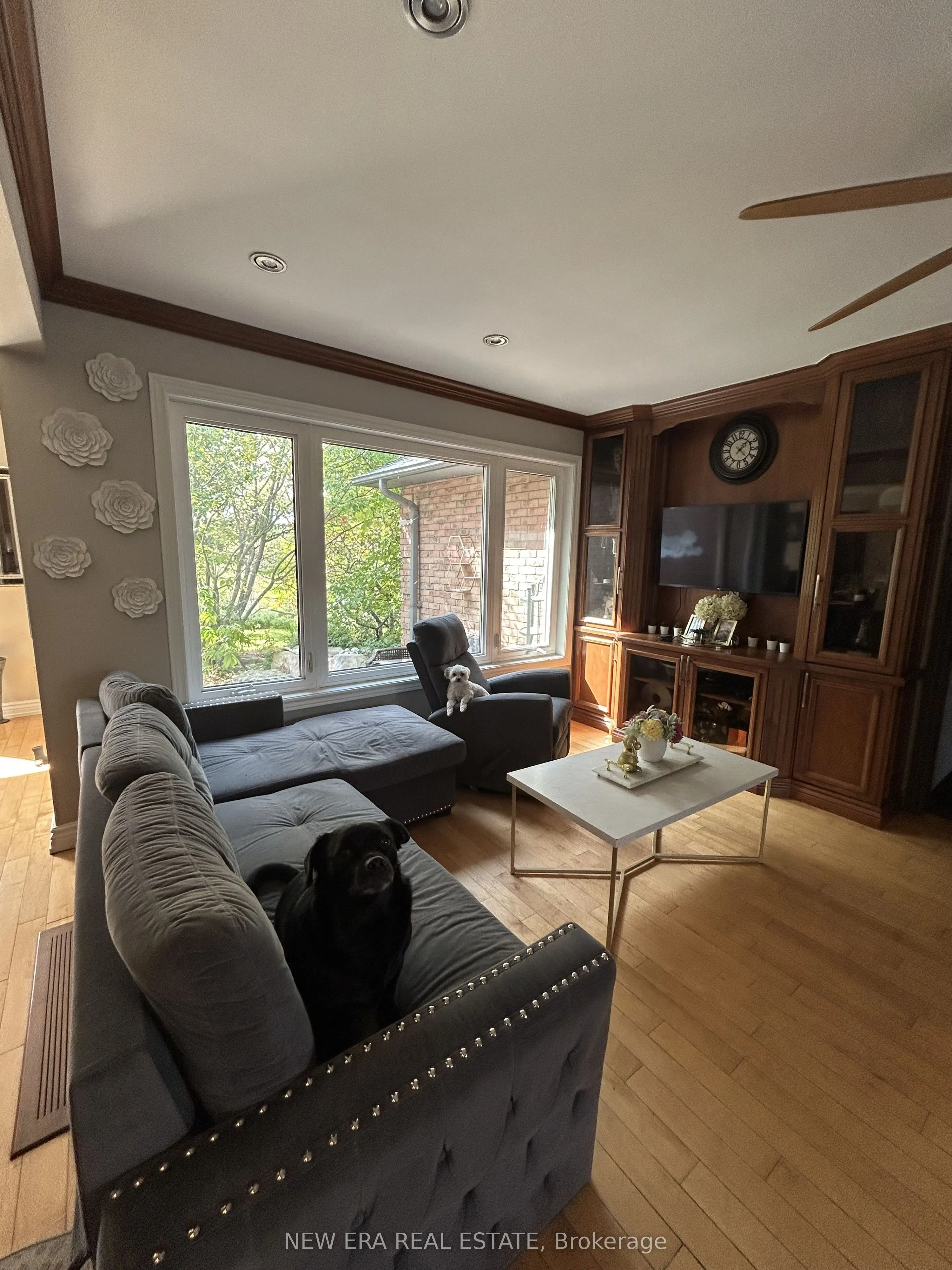 14227 Trafalgar Road