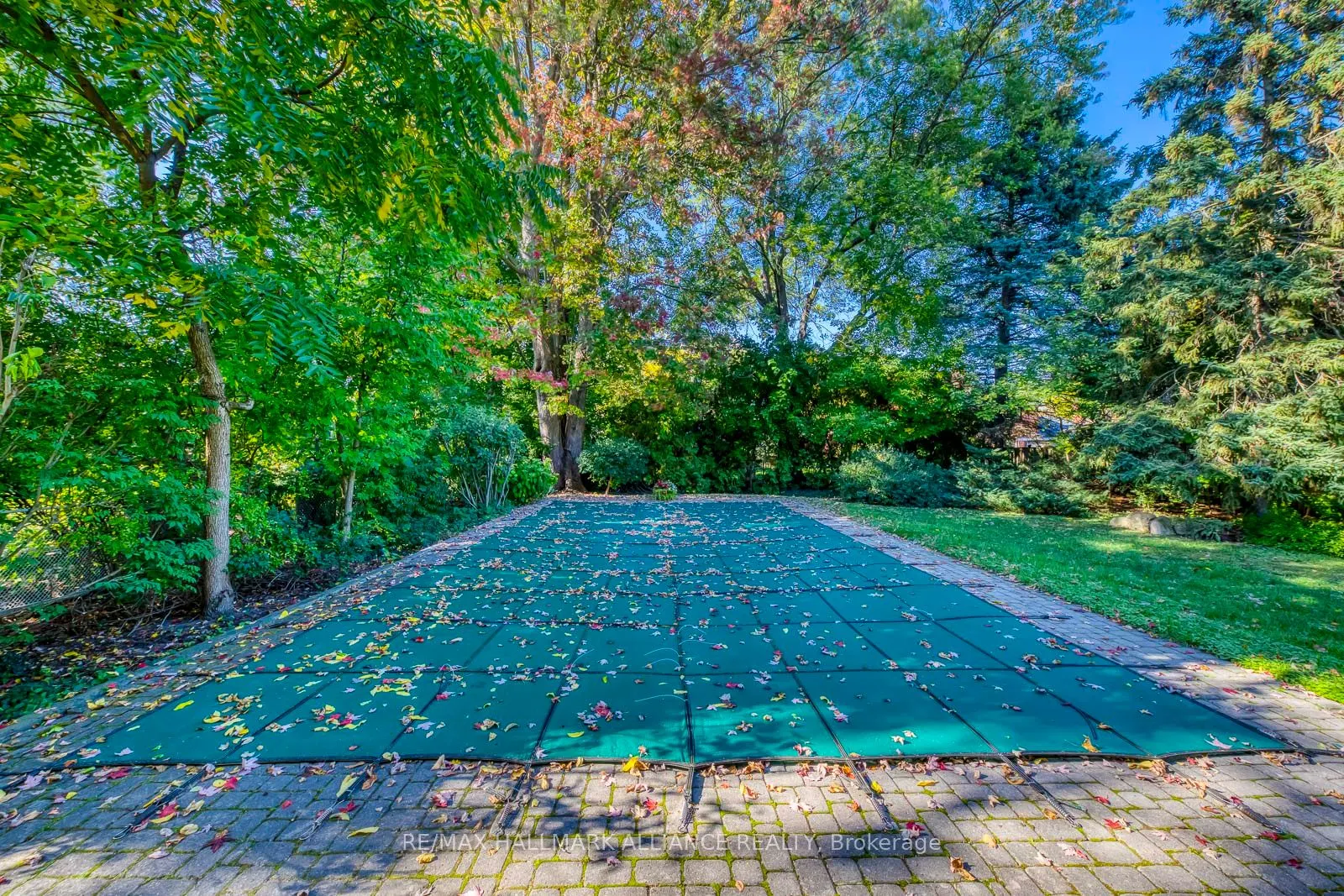4447 Lakeshore Road