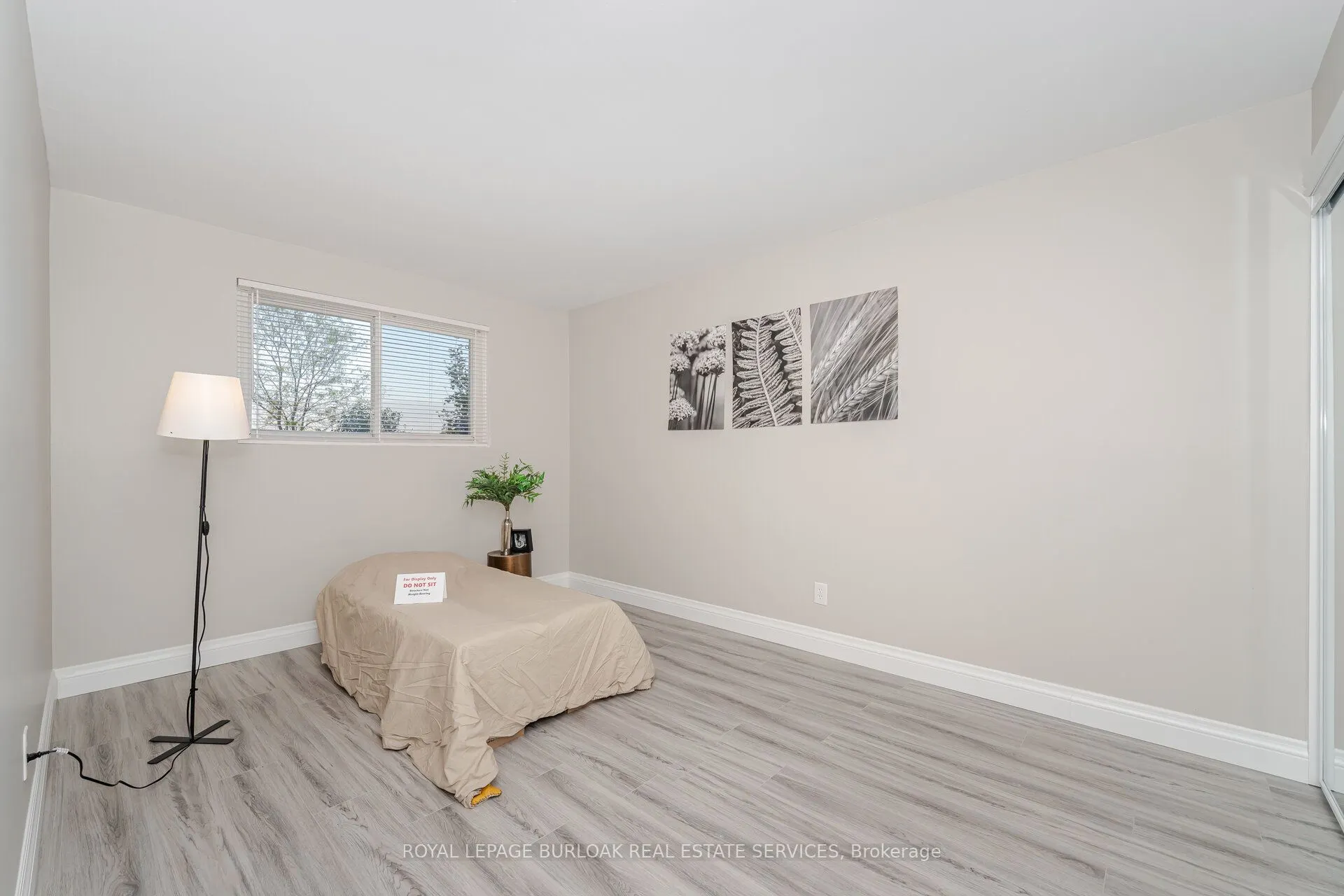 19 Juniper Crescent