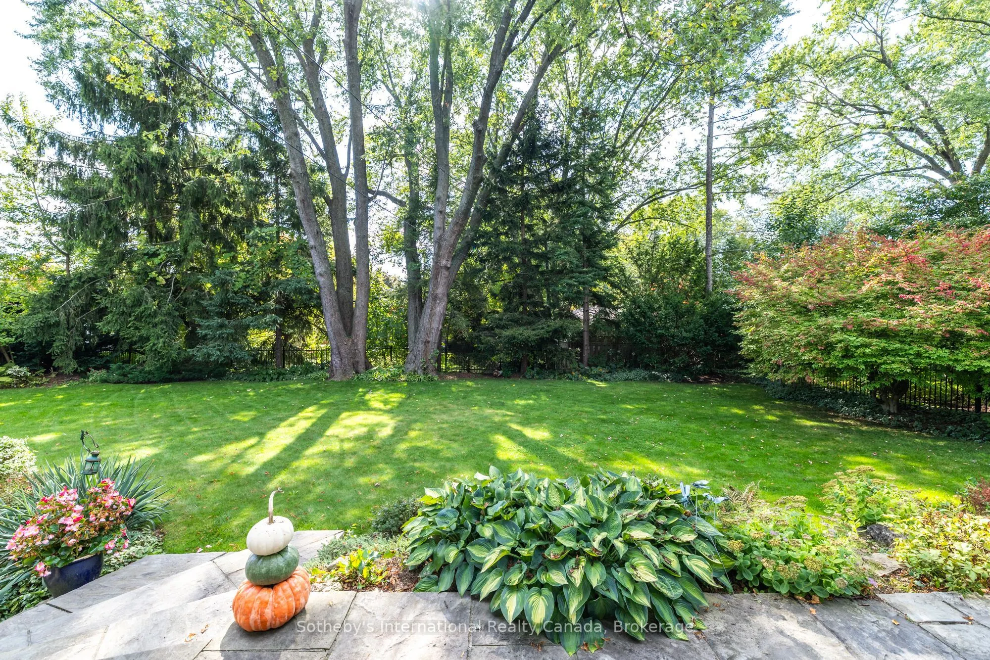 98 Selgrove Crescent