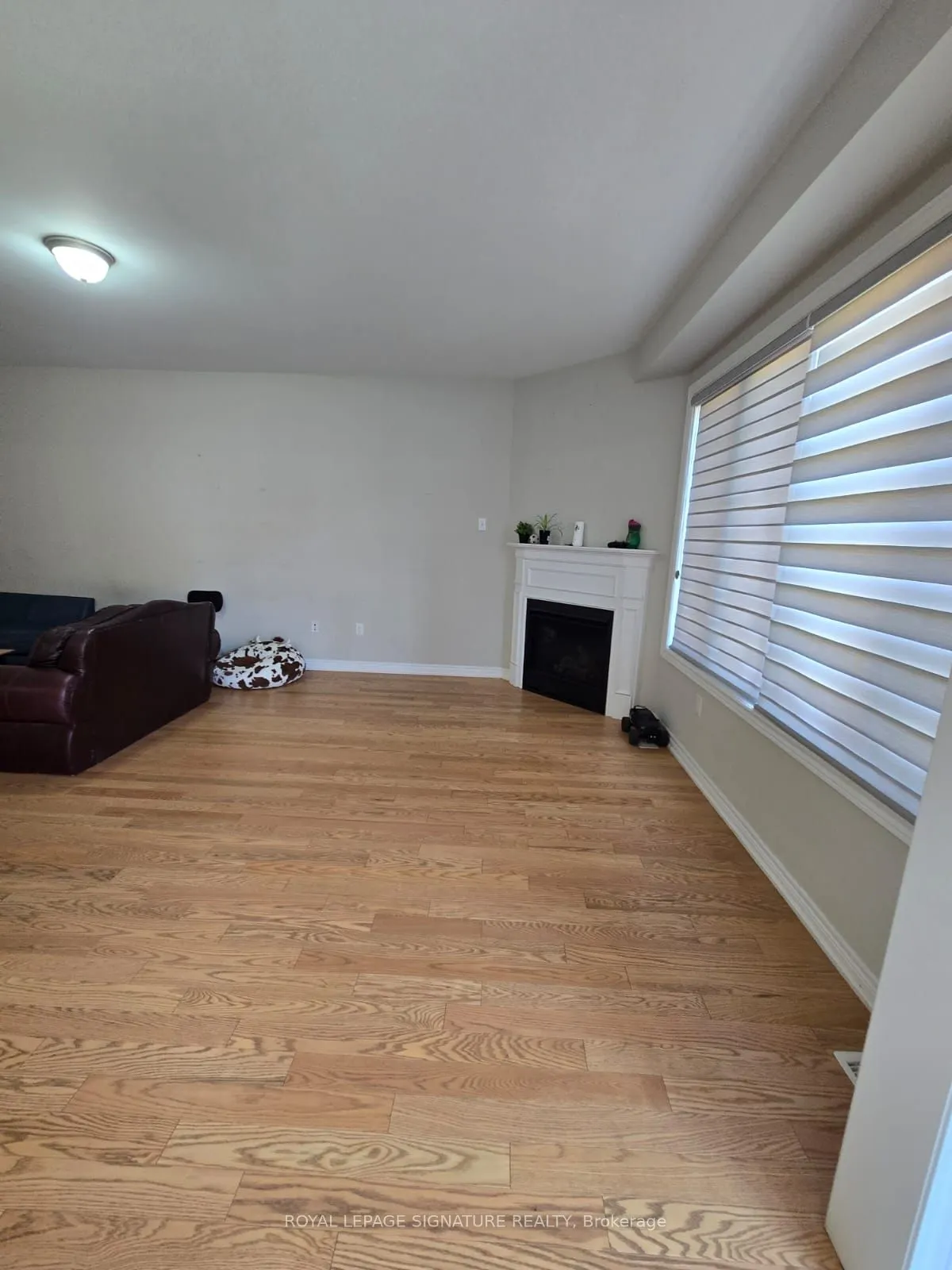 267 Thornbush Boulevard