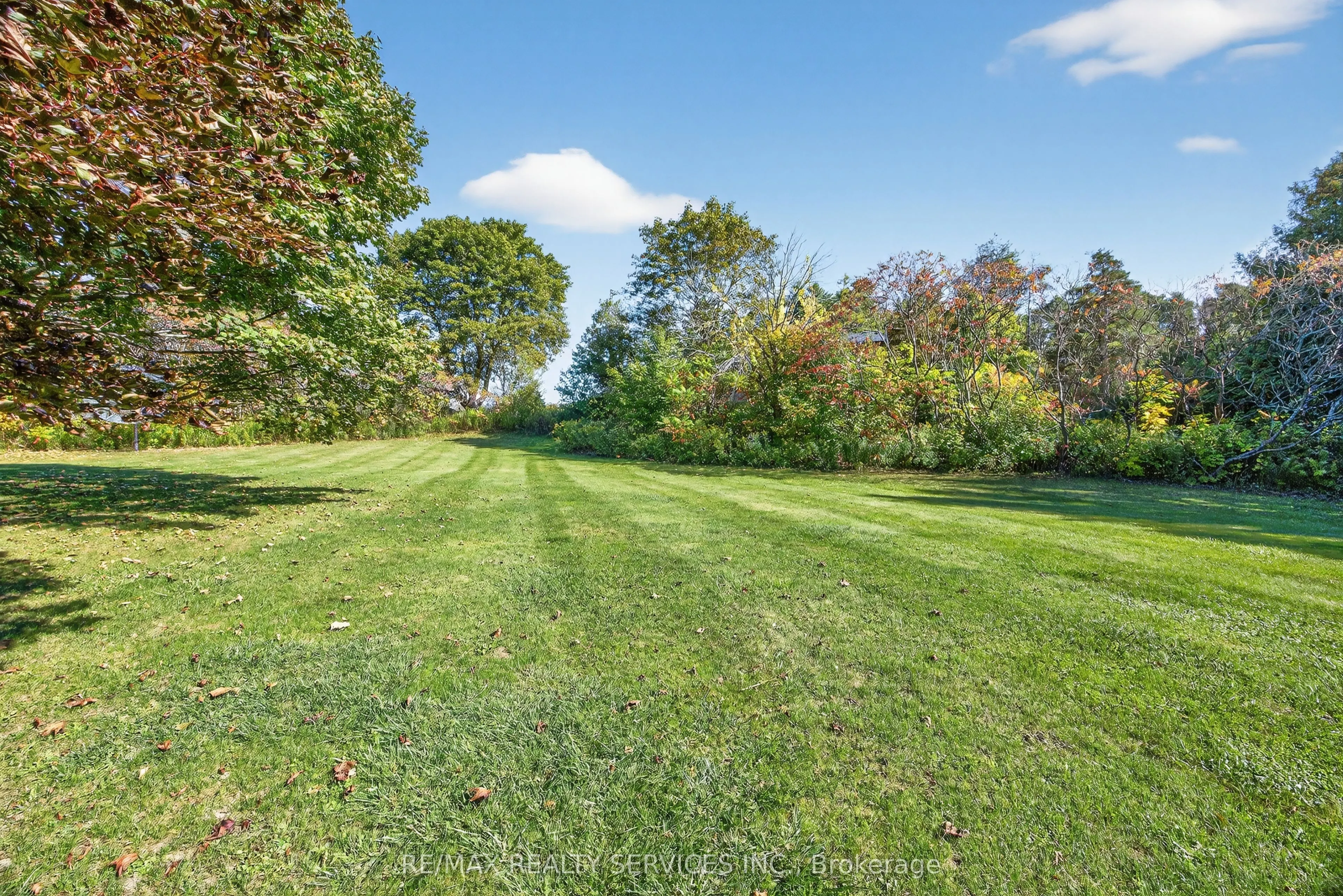 43 Mccort Drive
