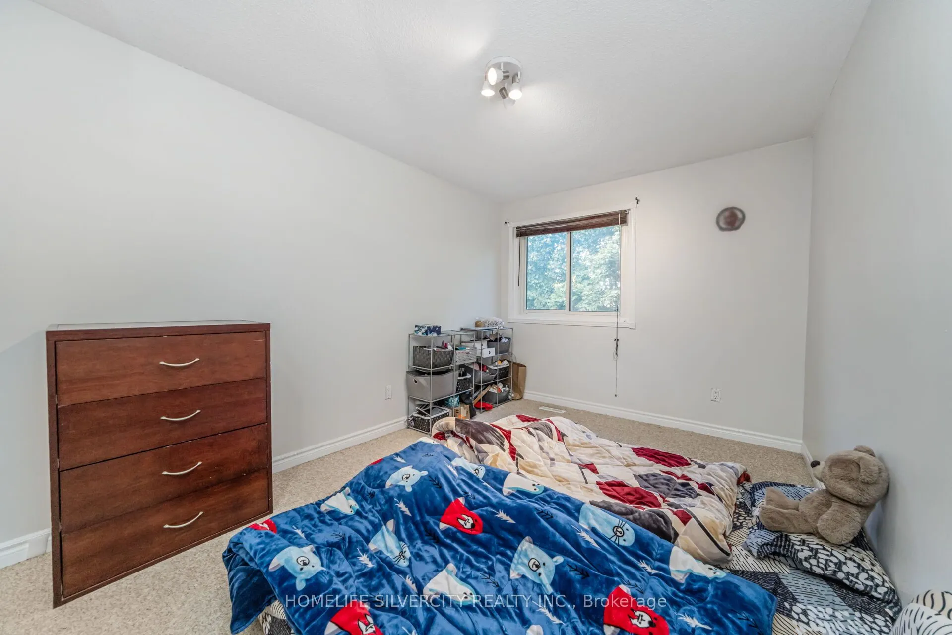 23 Judith Crescent