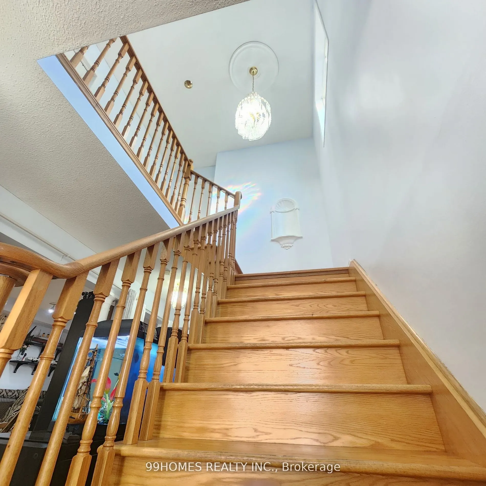 49 Olympia Crescent