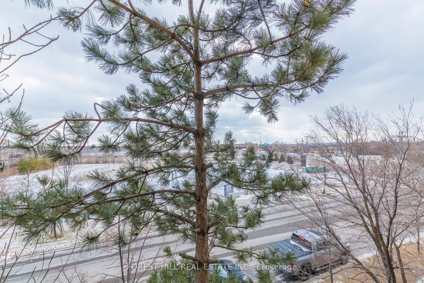2737 Keele Street, #215