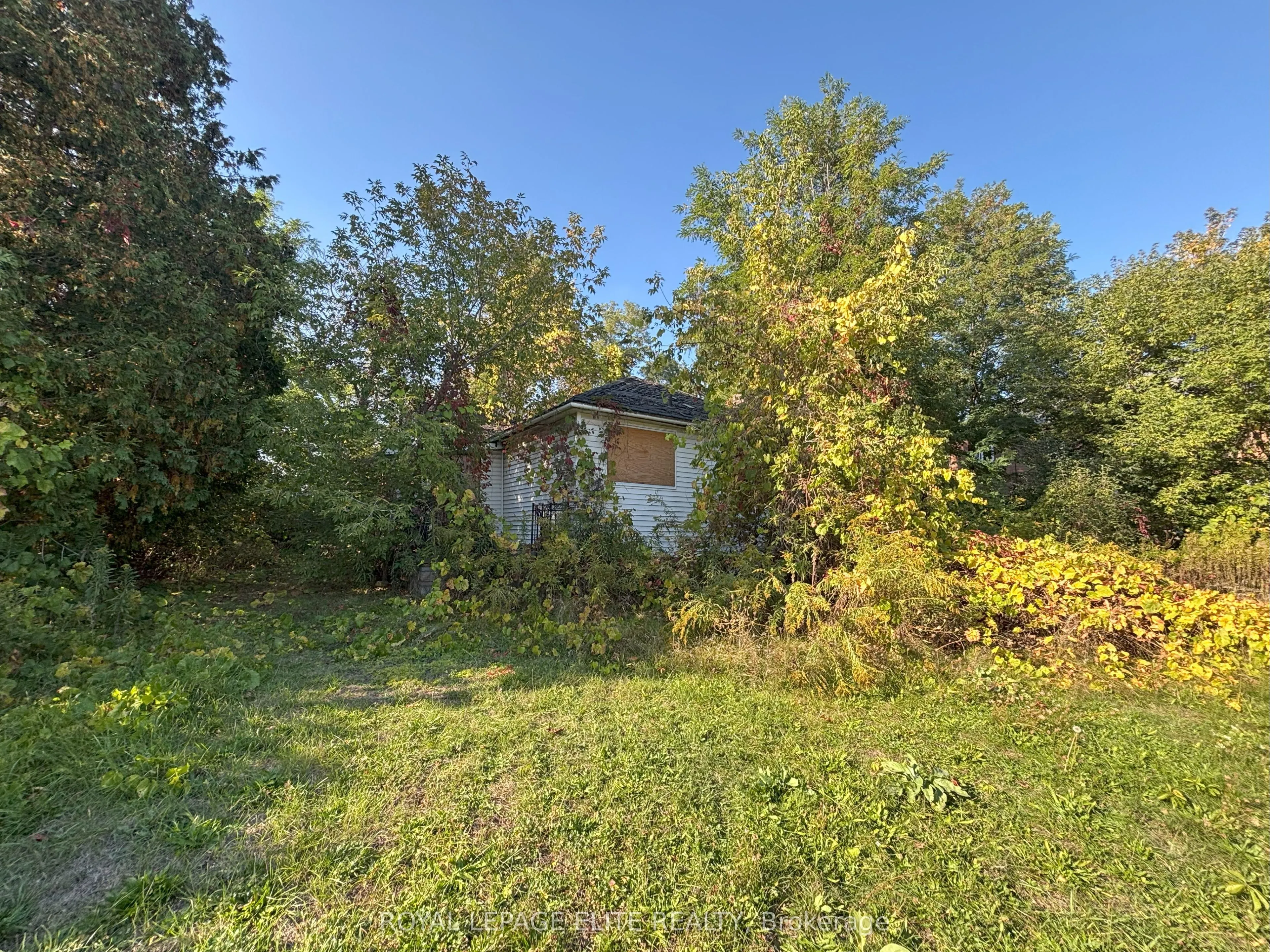 1631 Eglinton Avenue W