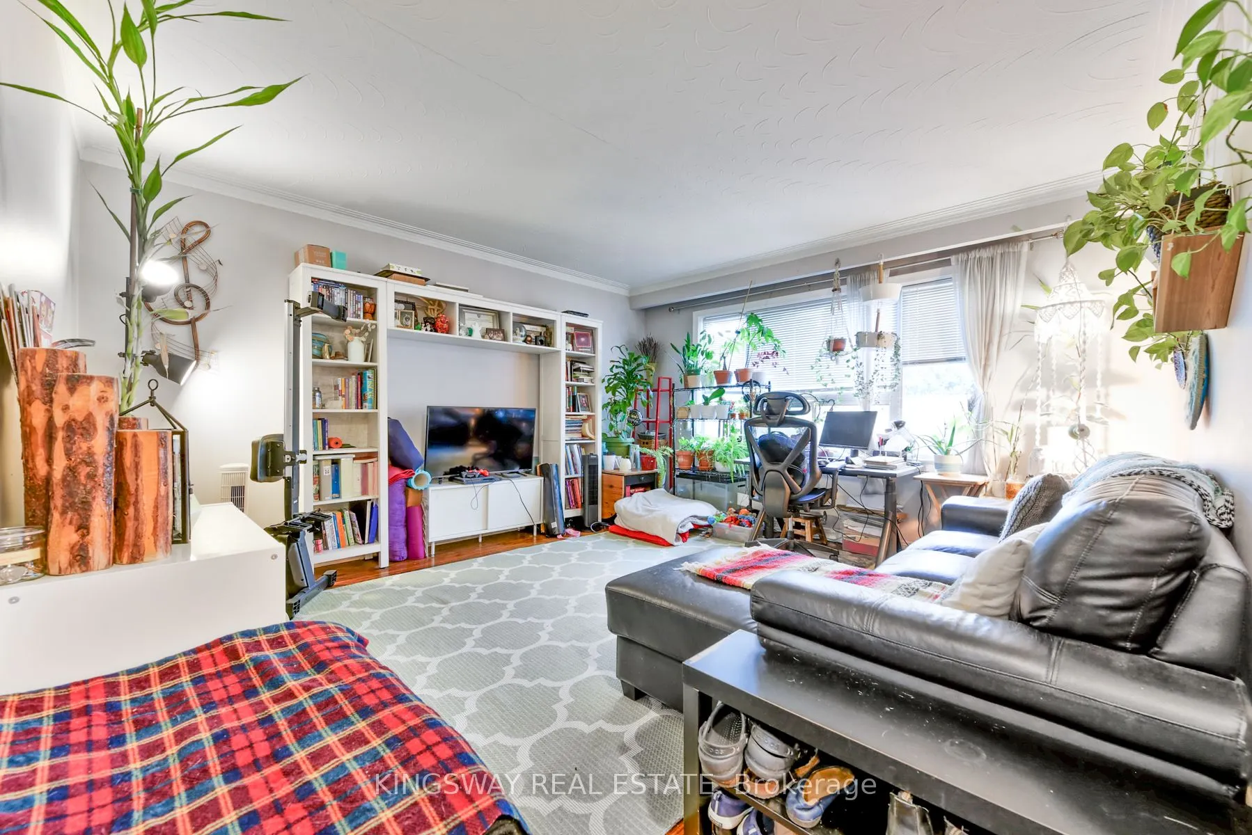 29 Evans Avenue