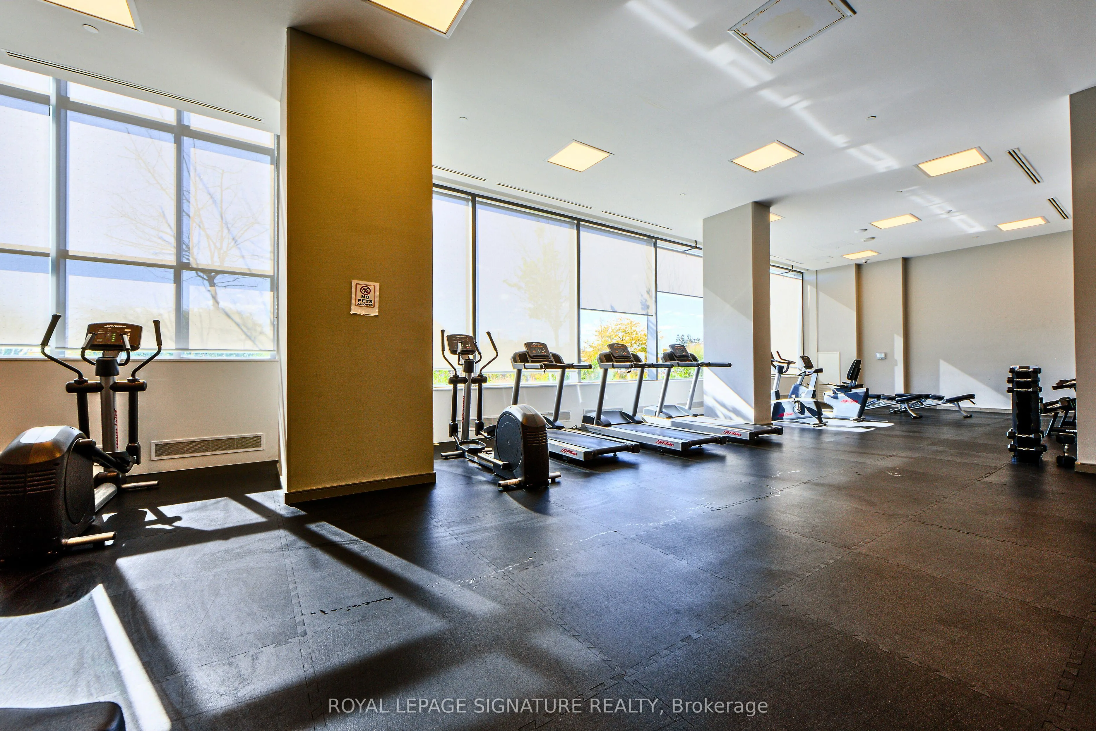50 Thomas Riley Road, #714
