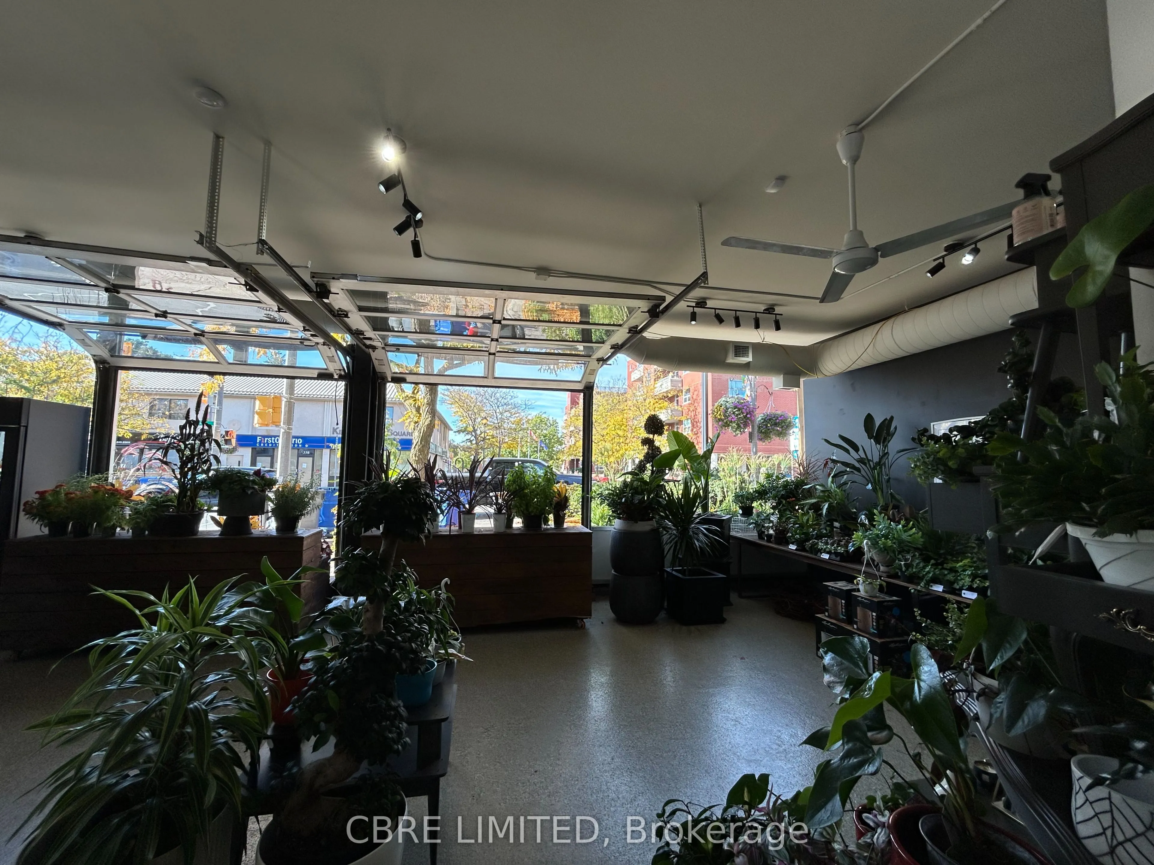 335 Kerr Street