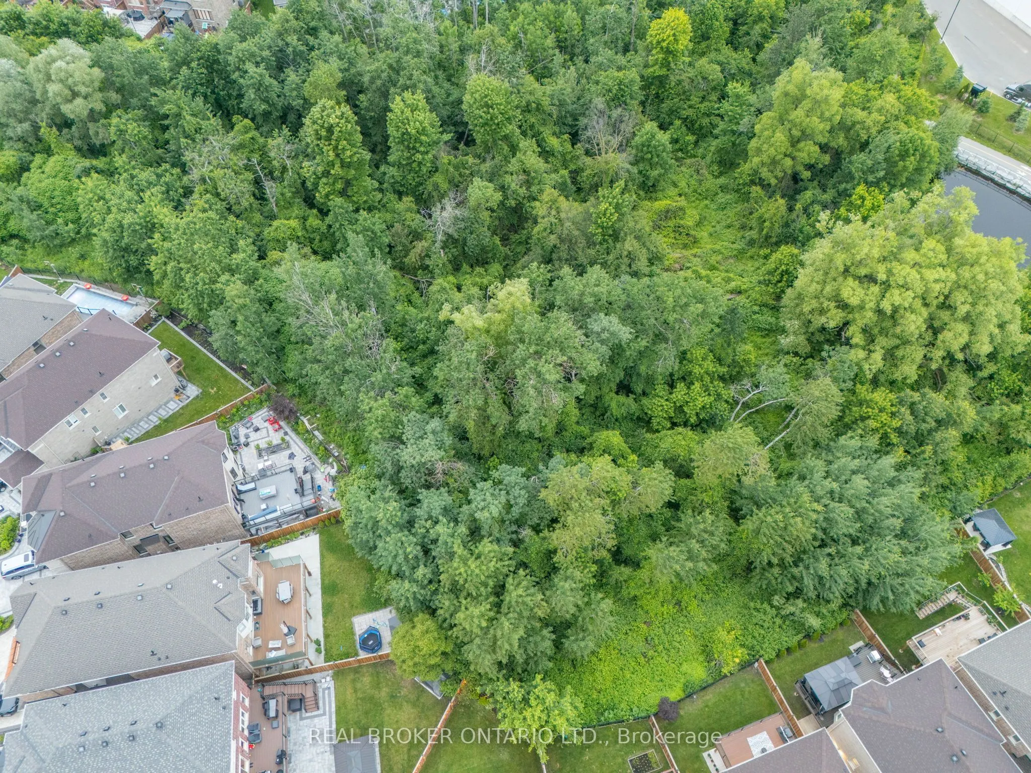 43 Provost (Basement) Trail