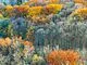 202 Burnhamthorpe Road E, #2007W