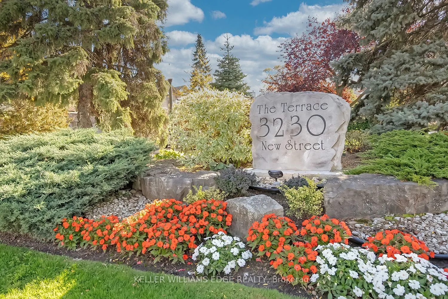 3230 New Street, #19