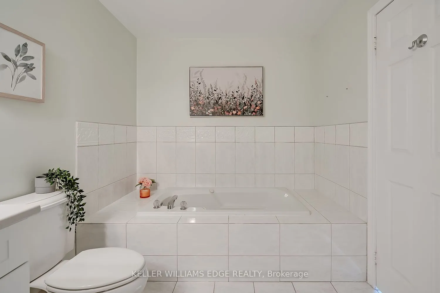 3230 New Street, #19