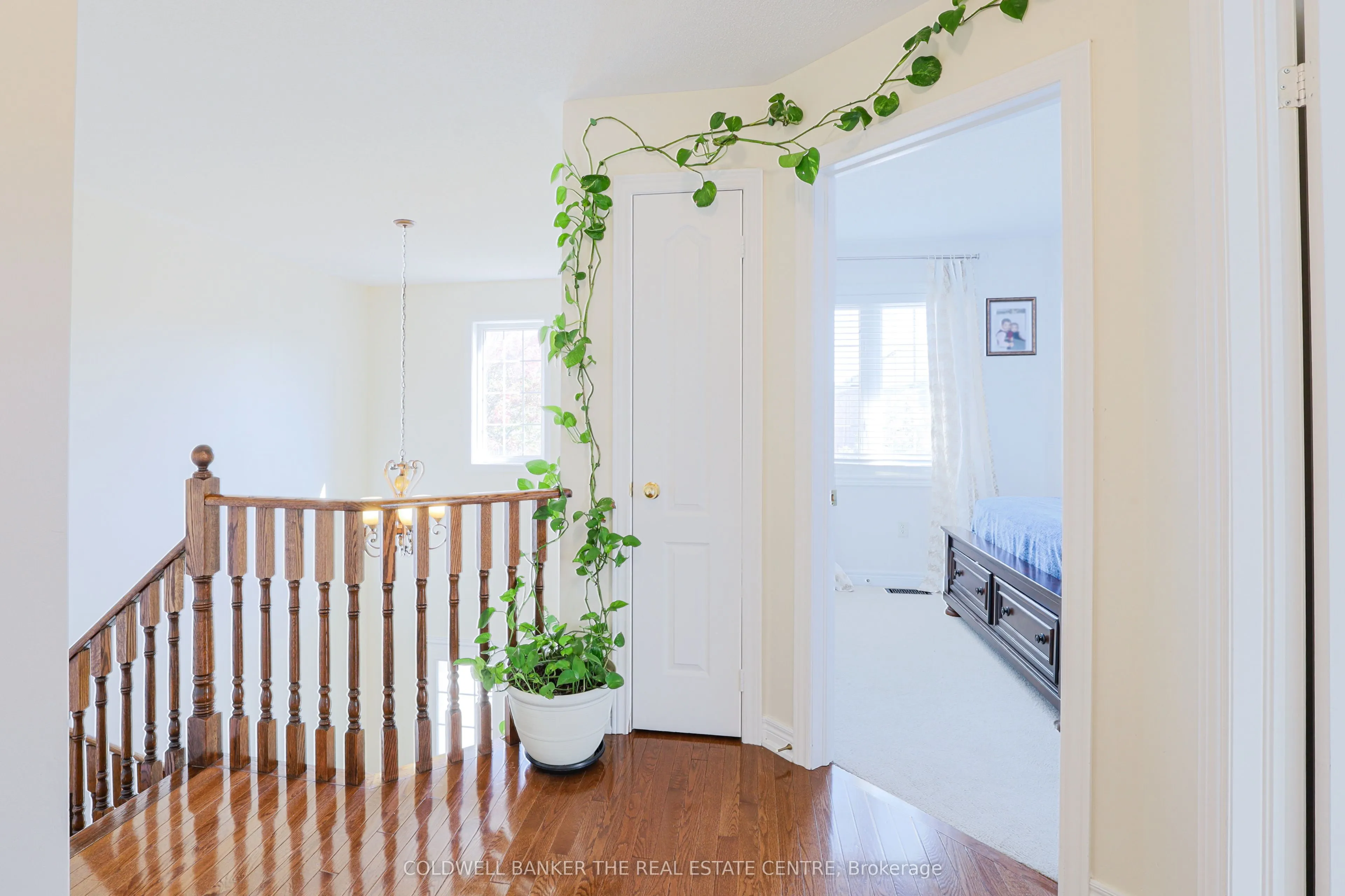 24 Mellowood Avenue