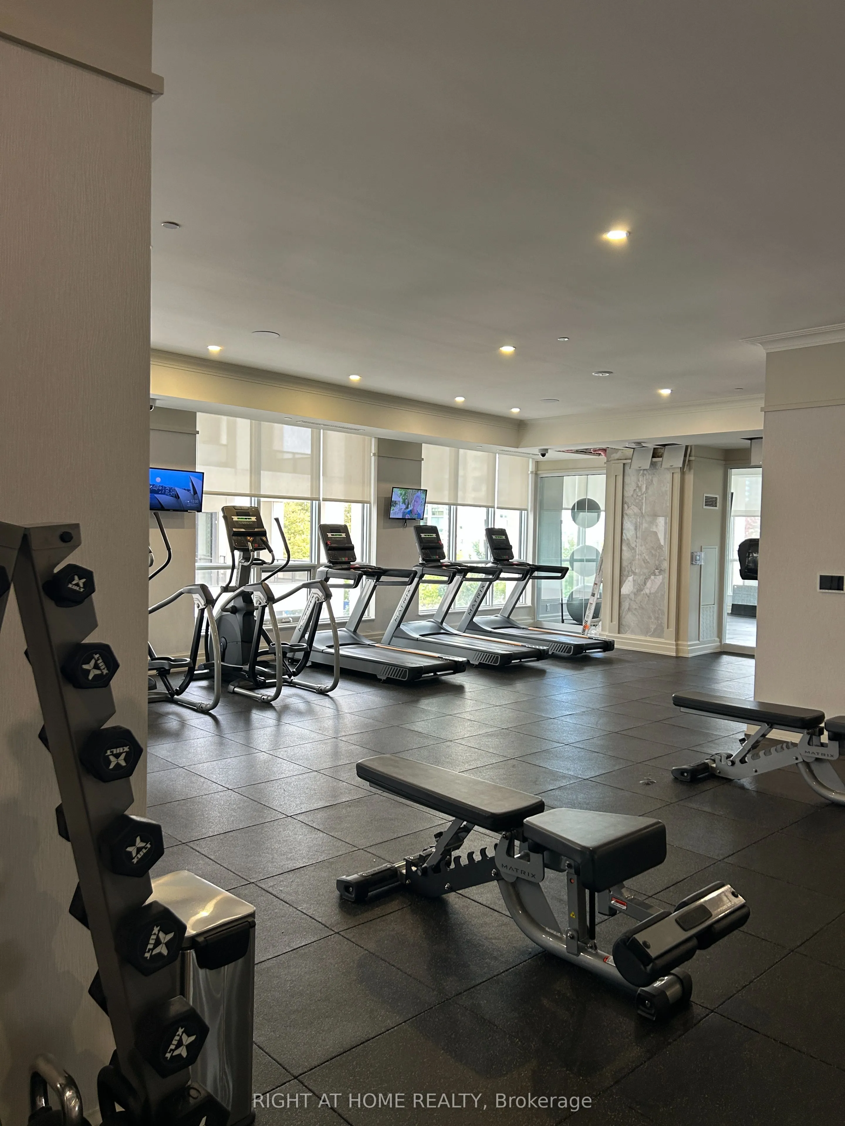 36 Elm Drive, #202
