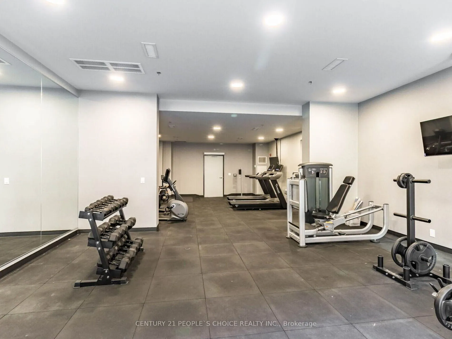 50 Ann Street, #411