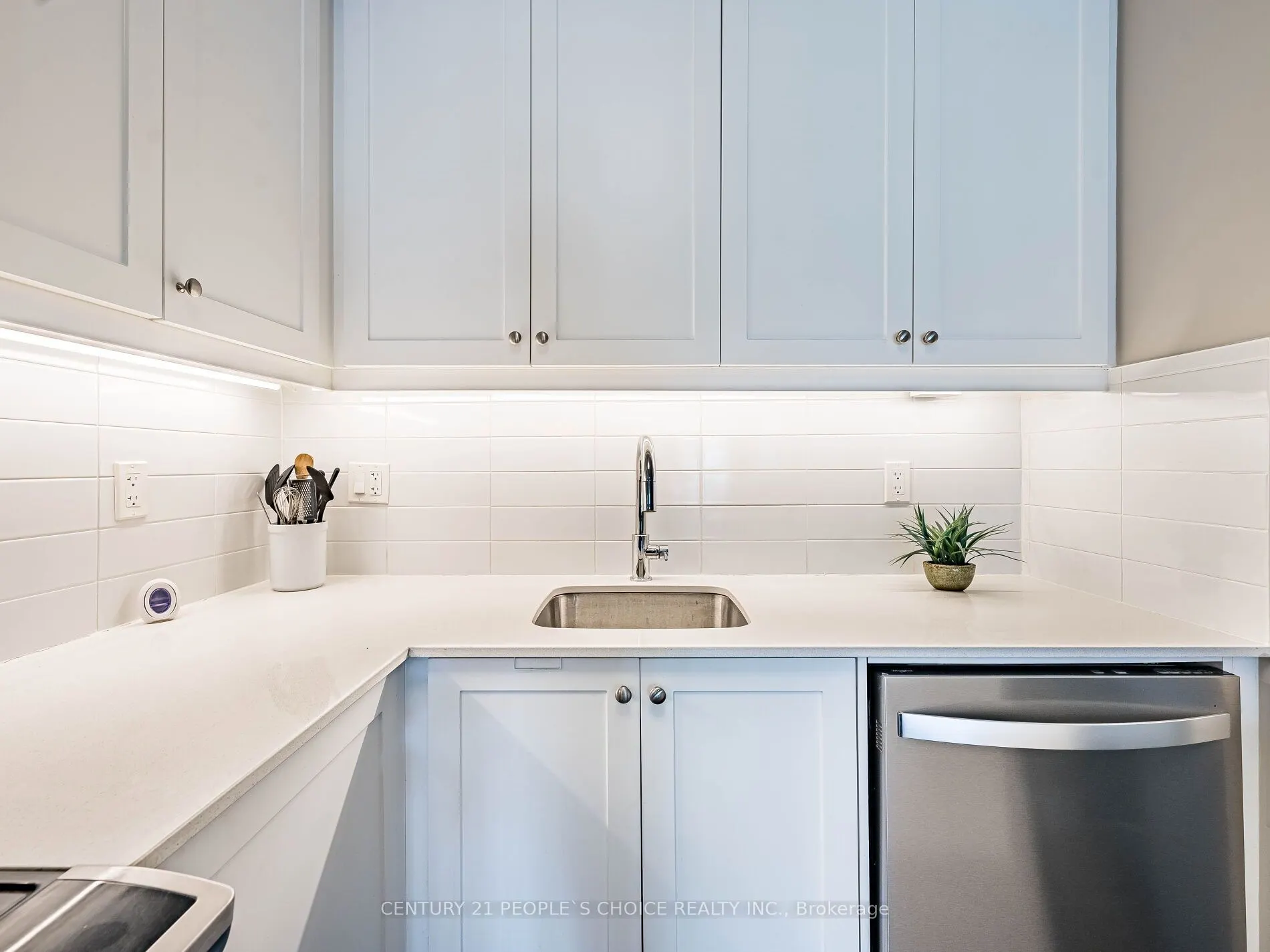 50 Ann Street, #411