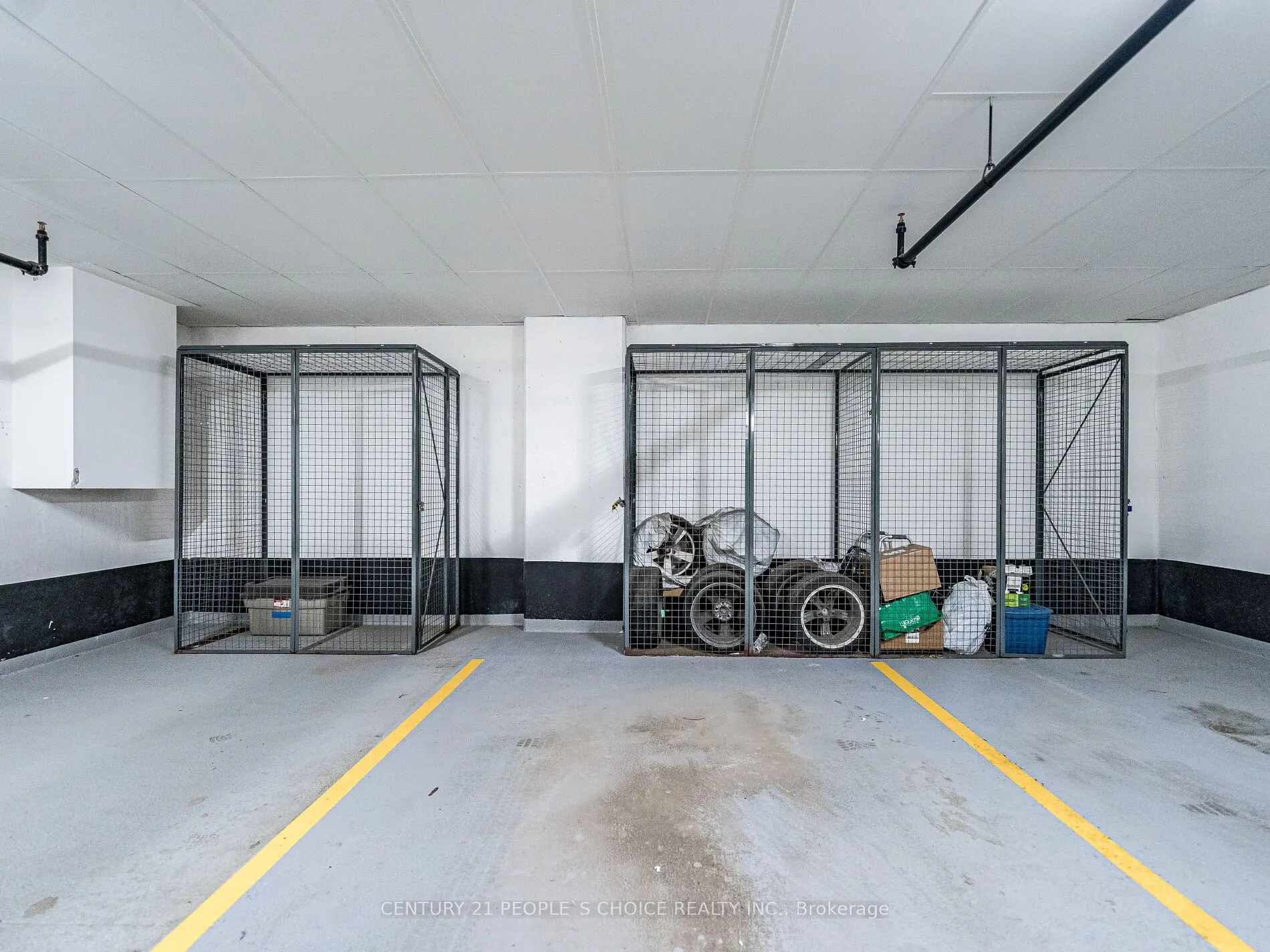 50 Ann Street, #411