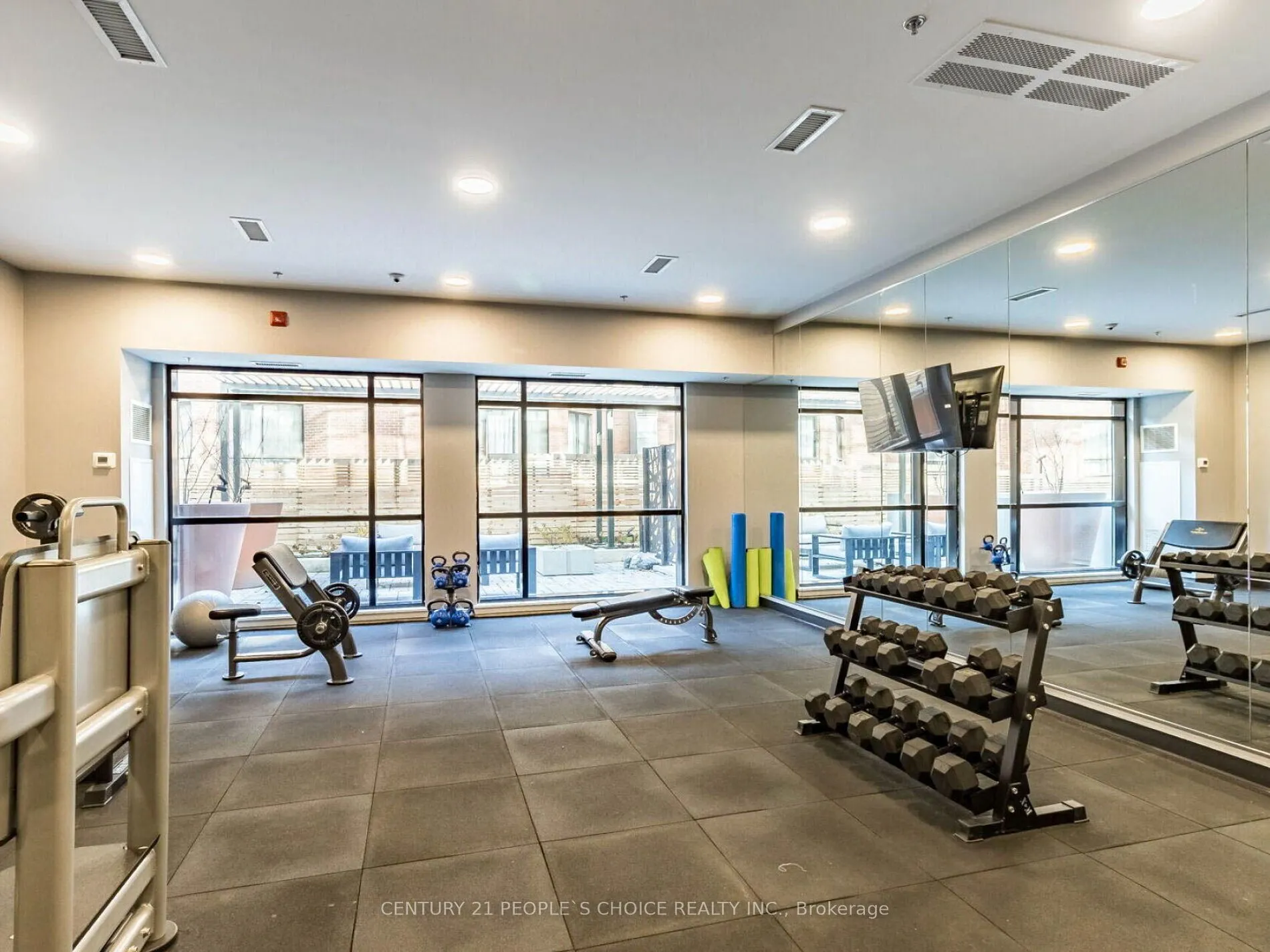 50 Ann Street, #411