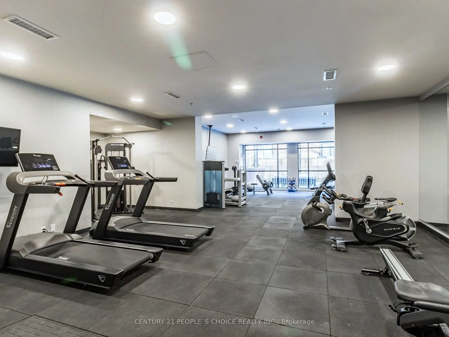 50 Ann Street, #411