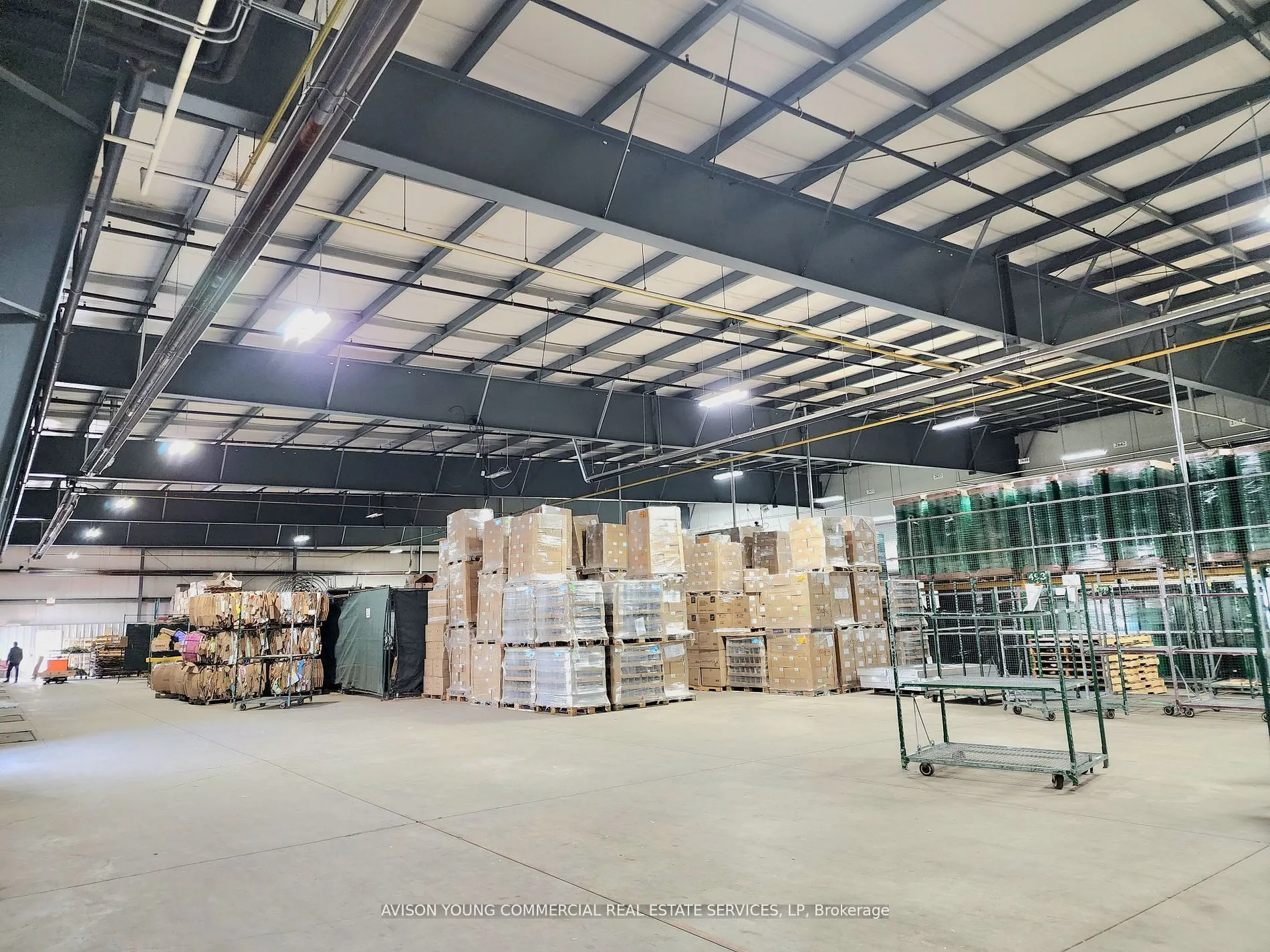 910 Mid-Way Boulevard, #1B