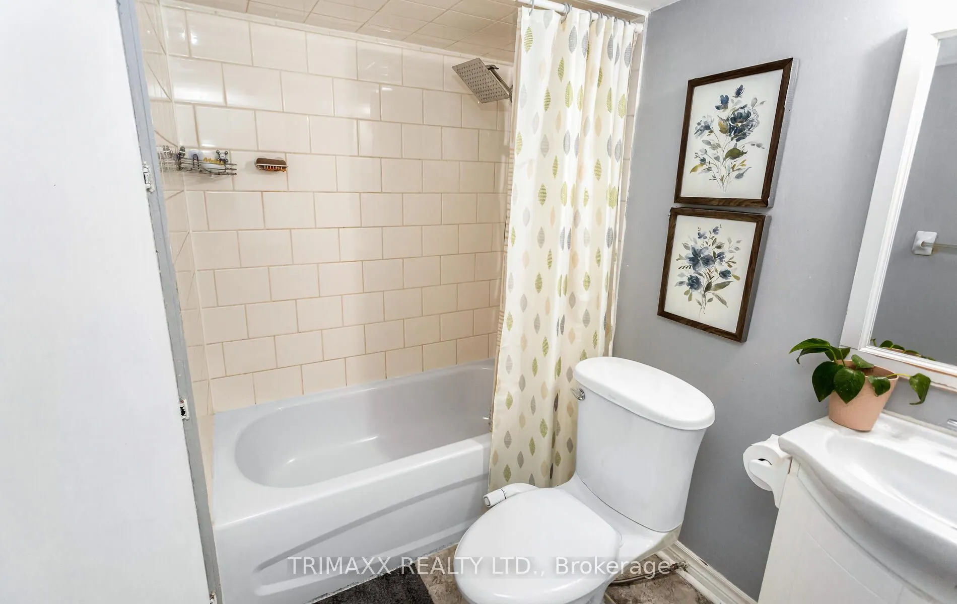 62 Brisbane Court, #36