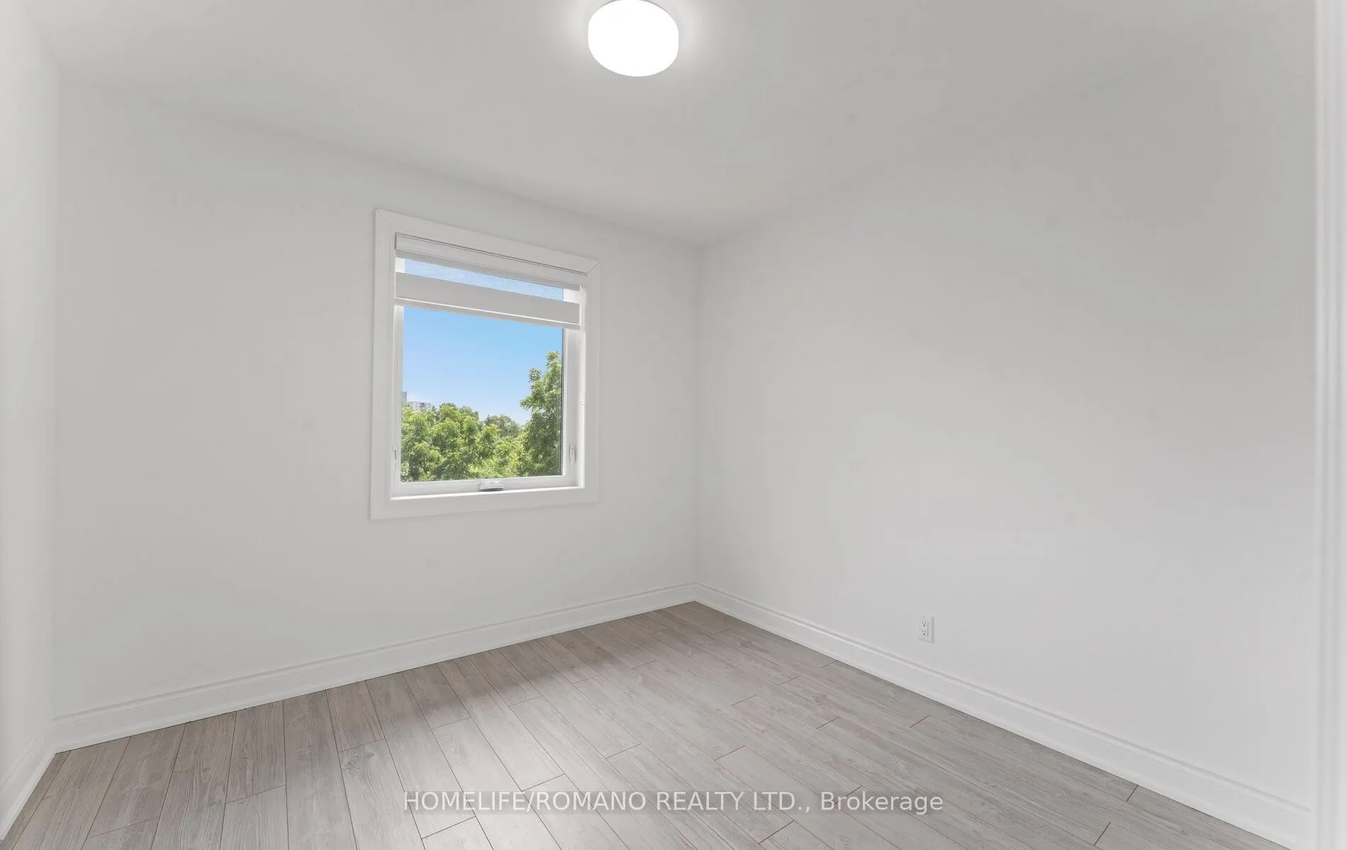37 Donofree Road
