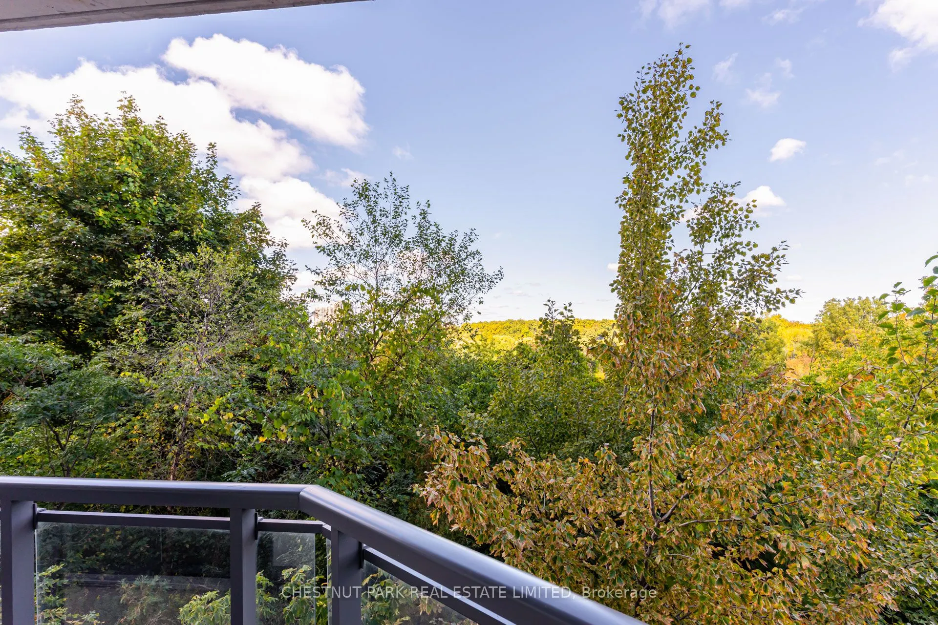 840 Queens Plate Drive, #205